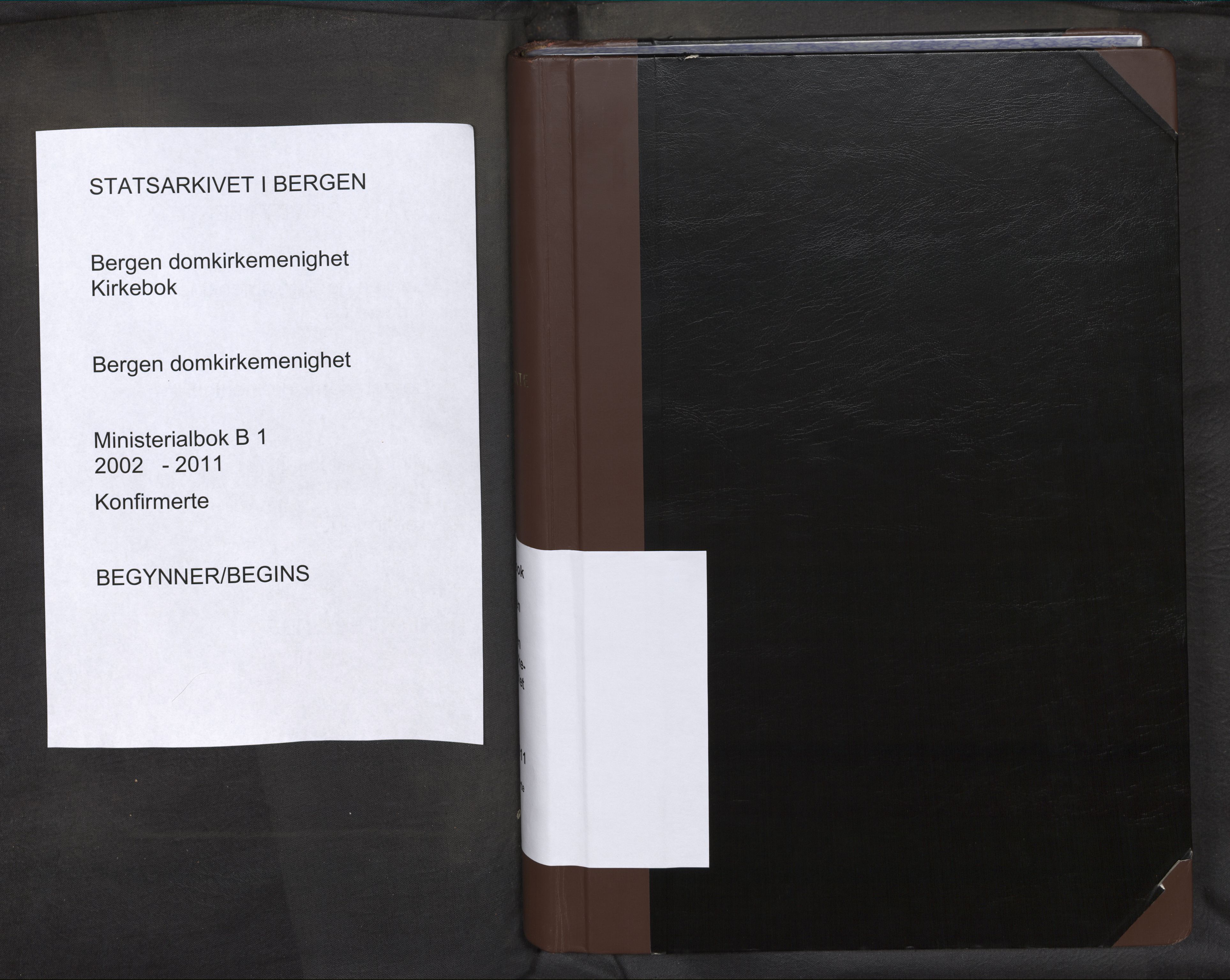 Domkirken sokneprestembete, AV/SAB-A-74801/H/Haa: Ministerialbok nr. B 1, 2002-2011
