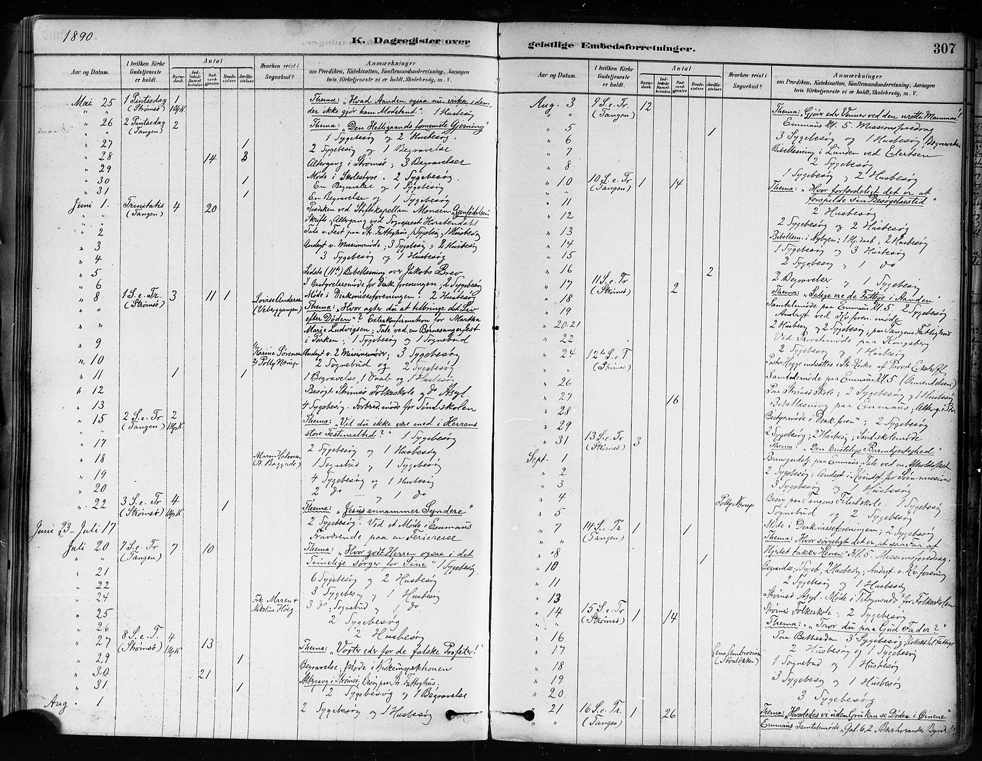 Strømsø kirkebøker, AV/SAKO-A-246/F/Fa/L0022: Ministerialbok nr. I 22, 1879-1899, s. 307