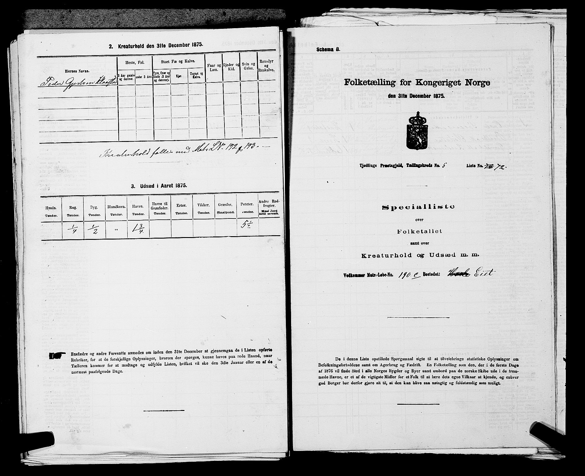 SAKO, Folketelling 1875 for 0725P Tjølling prestegjeld, 1875, s. 1019