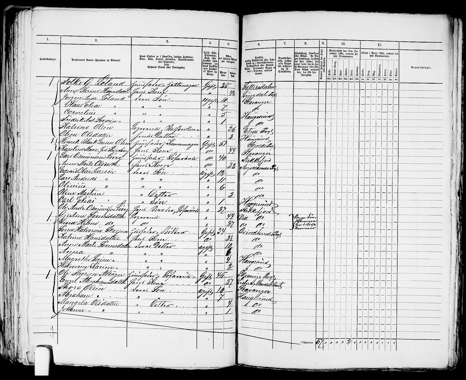 RA, Folketelling 1865 for 1106B Torvastad prestegjeld, Haugesund ladested, 1865, s. 250