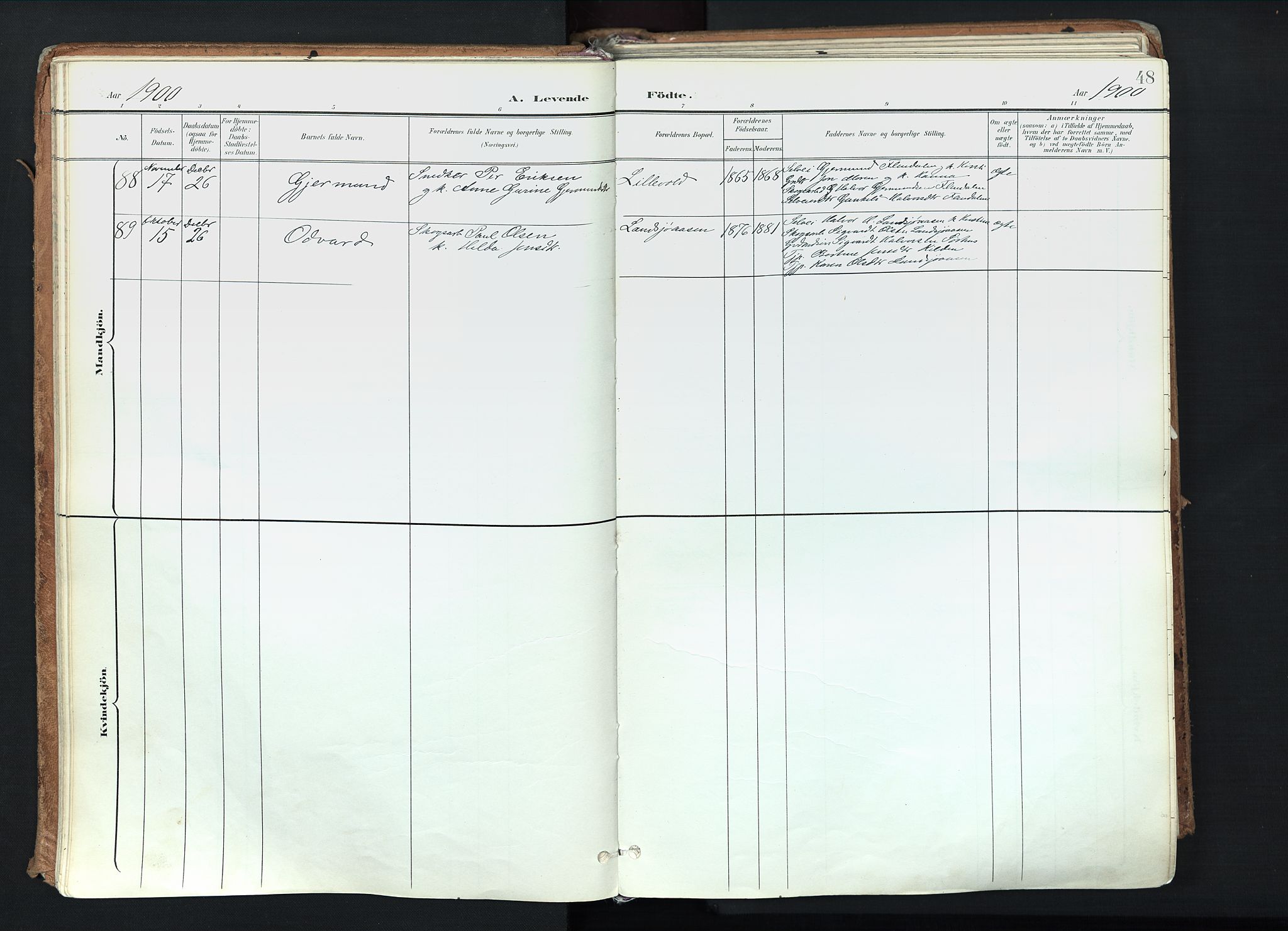 Trysil prestekontor, SAH/PREST-046/H/Ha/Haa/L0012: Ministerialbok nr. 12, 1898-1917, s. 48
