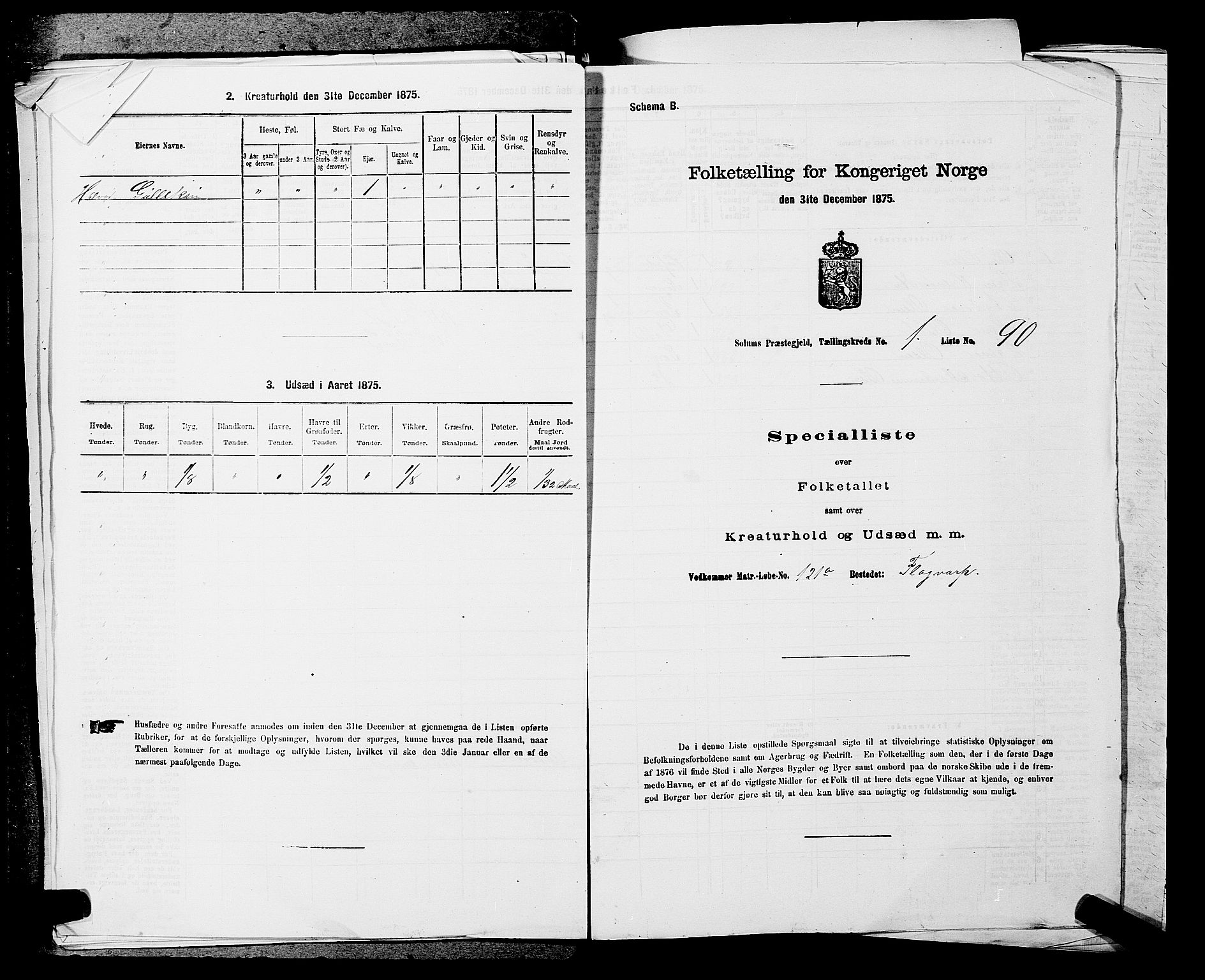 SAKO, Folketelling 1875 for 0818P Solum prestegjeld, 1875, s. 268