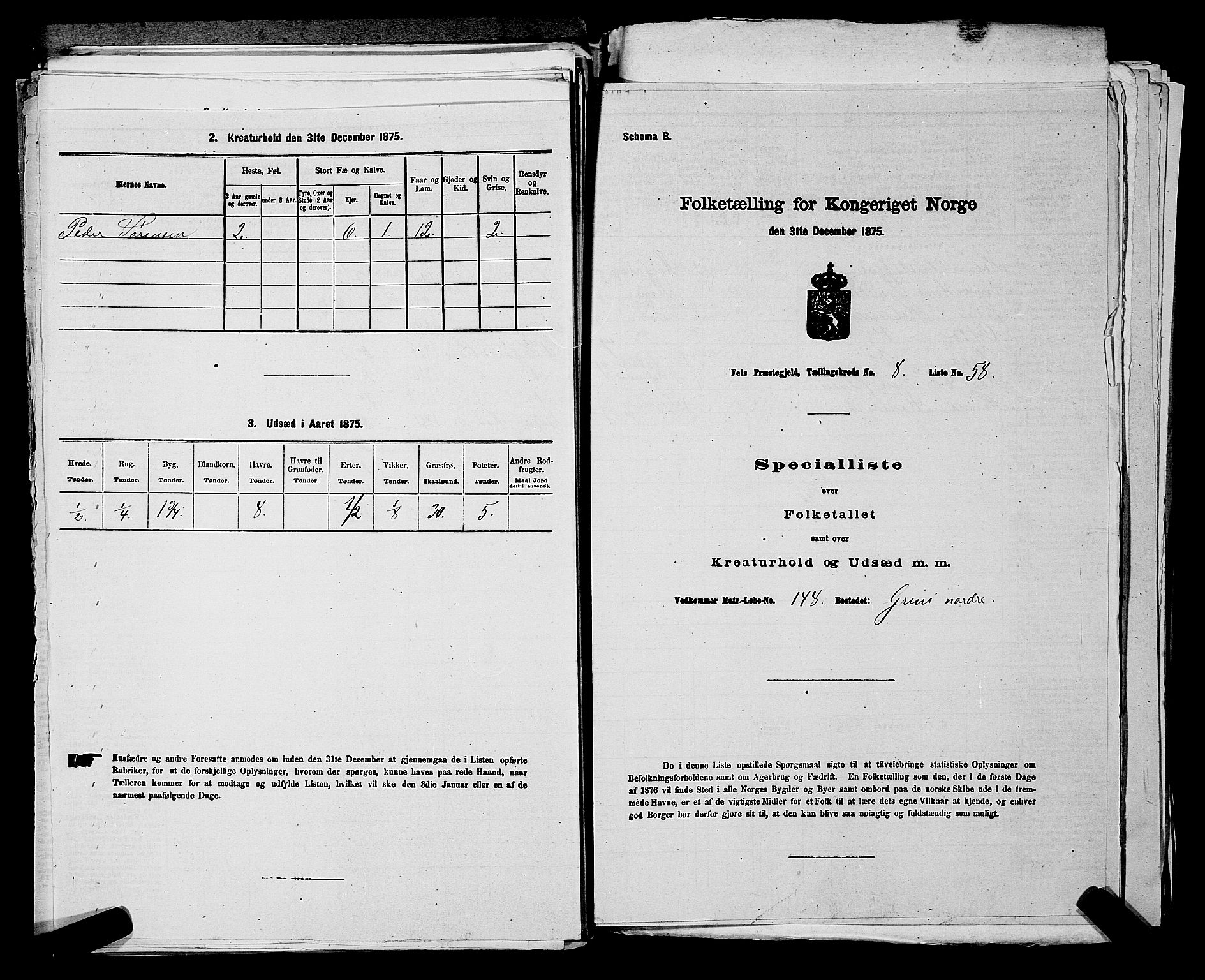 RA, Folketelling 1875 for 0227P Fet prestegjeld, 1875, s. 1269