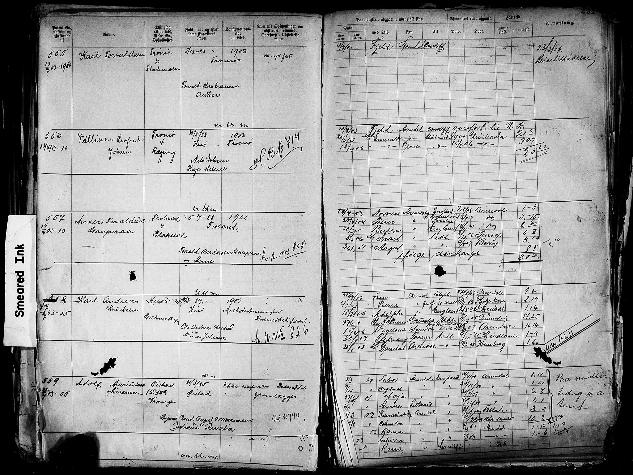 Arendal mønstringskrets, AV/SAK-2031-0012/F/Fa/L0004: Annotasjonsrulle nr 3828-4715 og nr 1-1296, S-4, 1892-1918, s. 300