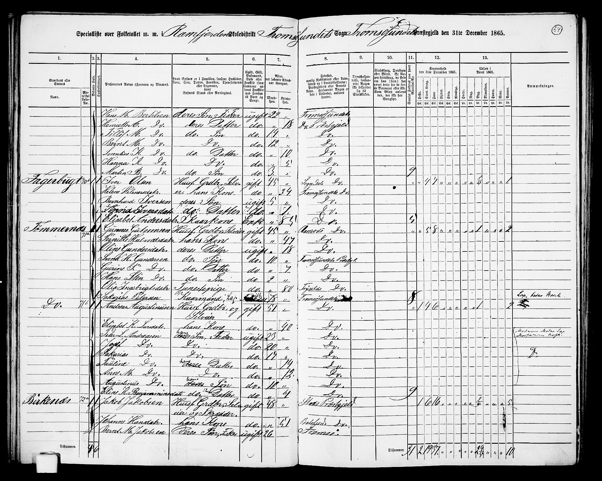 RA, Folketelling 1865 for 1934P Tromsøysund prestegjeld, 1865, s. 49