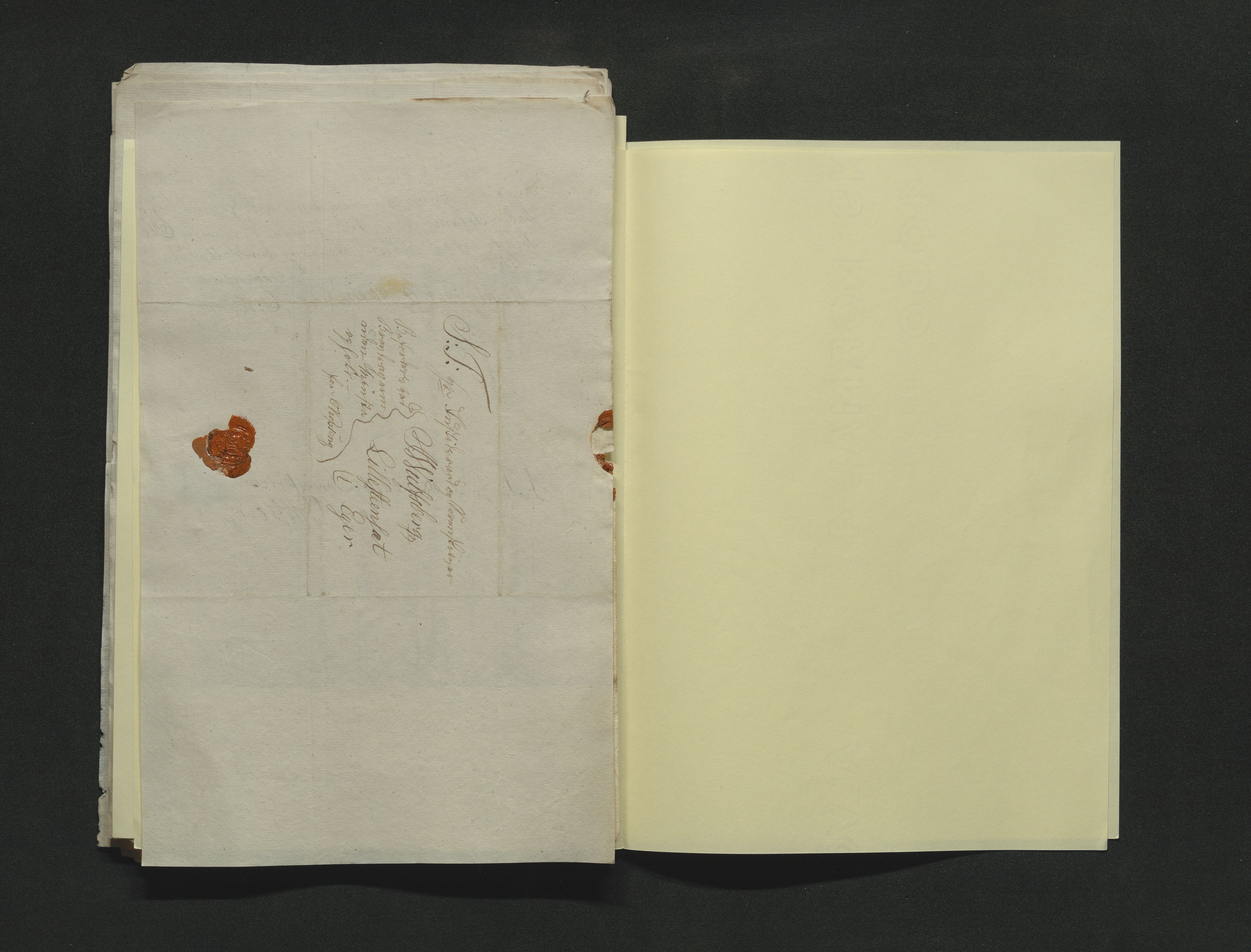 Eiker, Modum og Sigdal sorenskriveri, AV/SAKO-A-123/H/Ha/Hab/L0001: Dødsfallsmeldinger, 1812-1822, s. 191