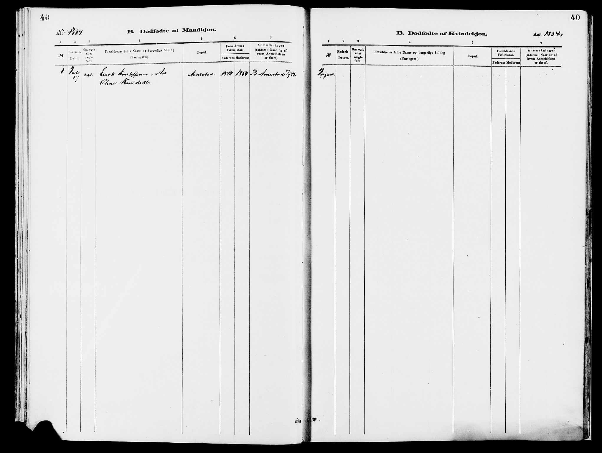 Åmot prestekontor, Hedmark, SAH/PREST-056/H/Ha/Haa/L0010: Ministerialbok nr. 10, 1884-1889, s. 40