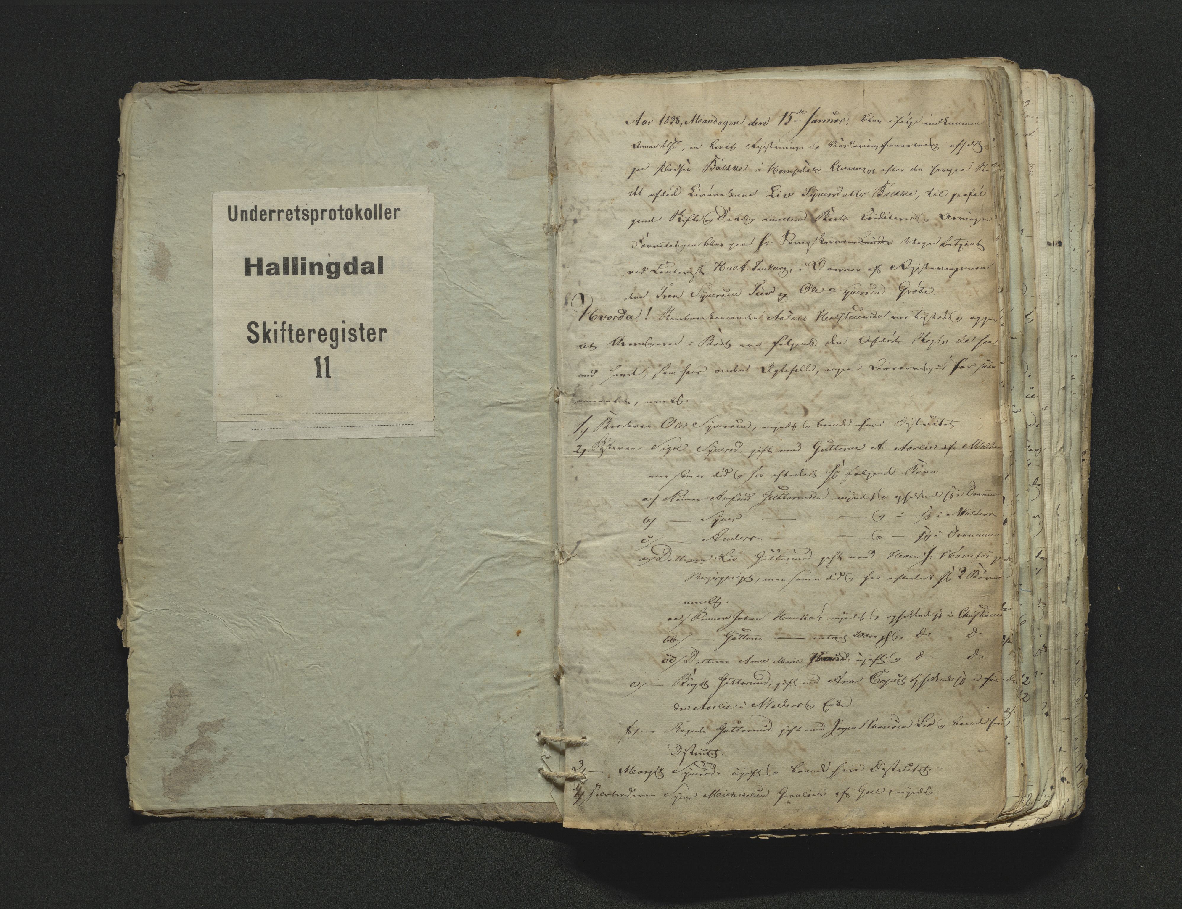 Hallingdal sorenskriveri, AV/SAKO-A-121/H/Hb/Hbb/Hbba/L0011: Skifteregistreringsprotokoll, Sorenskriveriet, 1838
