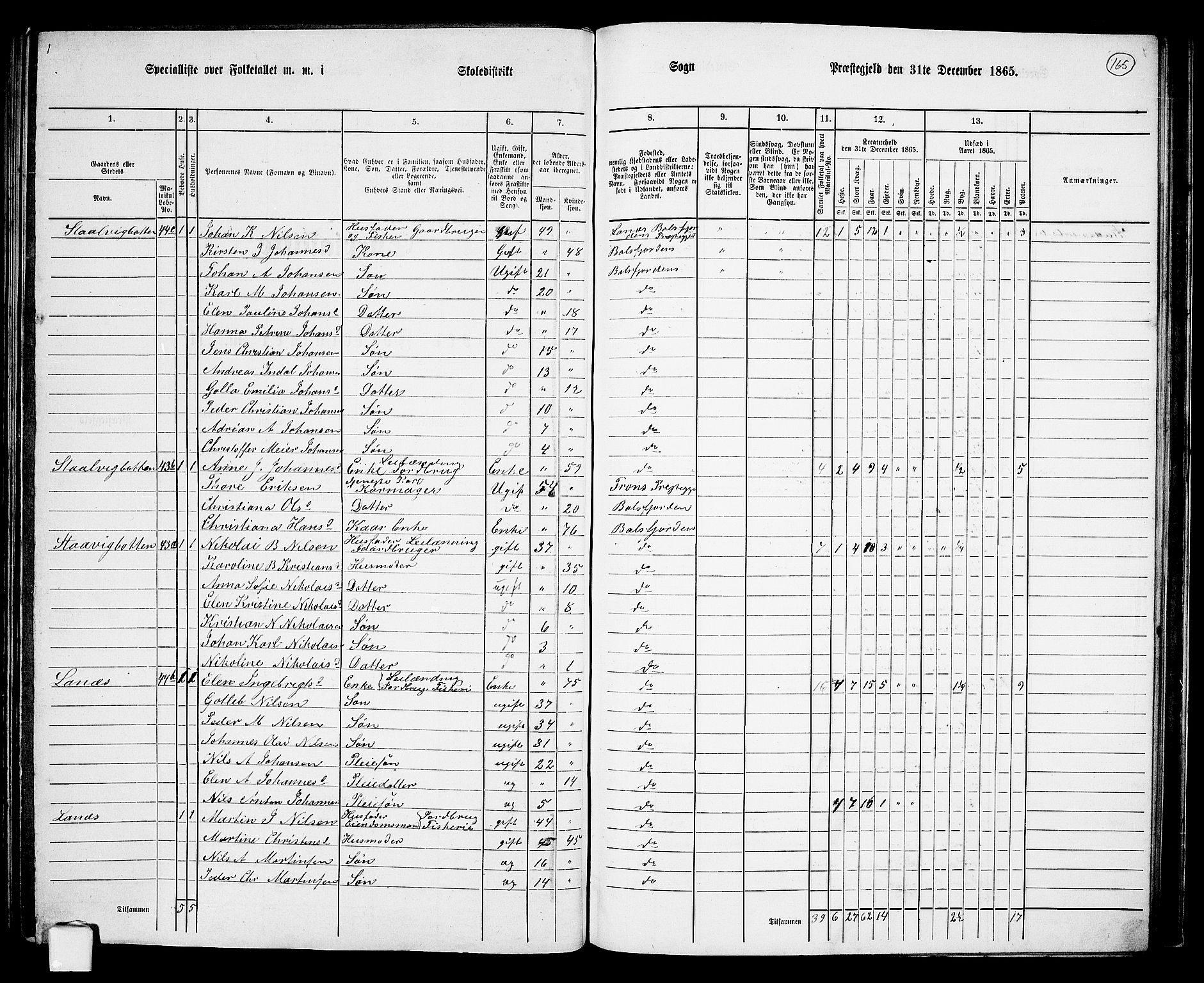 RA, Folketelling 1865 for 1933P Balsfjord prestegjeld, 1865, s. 99