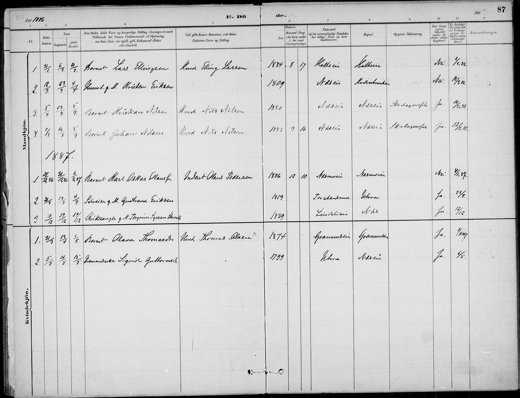 Ådal kirkebøker, AV/SAKO-A-248/F/Fa/L0004: Ministerialbok nr. I 4, 1884-1904, s. 87