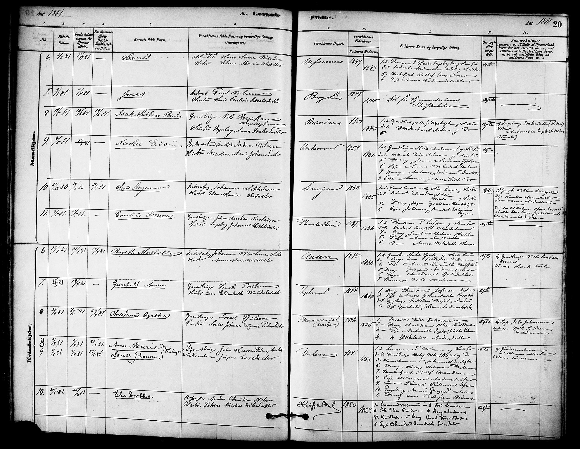 Ministerialprotokoller, klokkerbøker og fødselsregistre - Nordland, AV/SAT-A-1459/823/L0325: Ministerialbok nr. 823A02, 1878-1898, s. 20