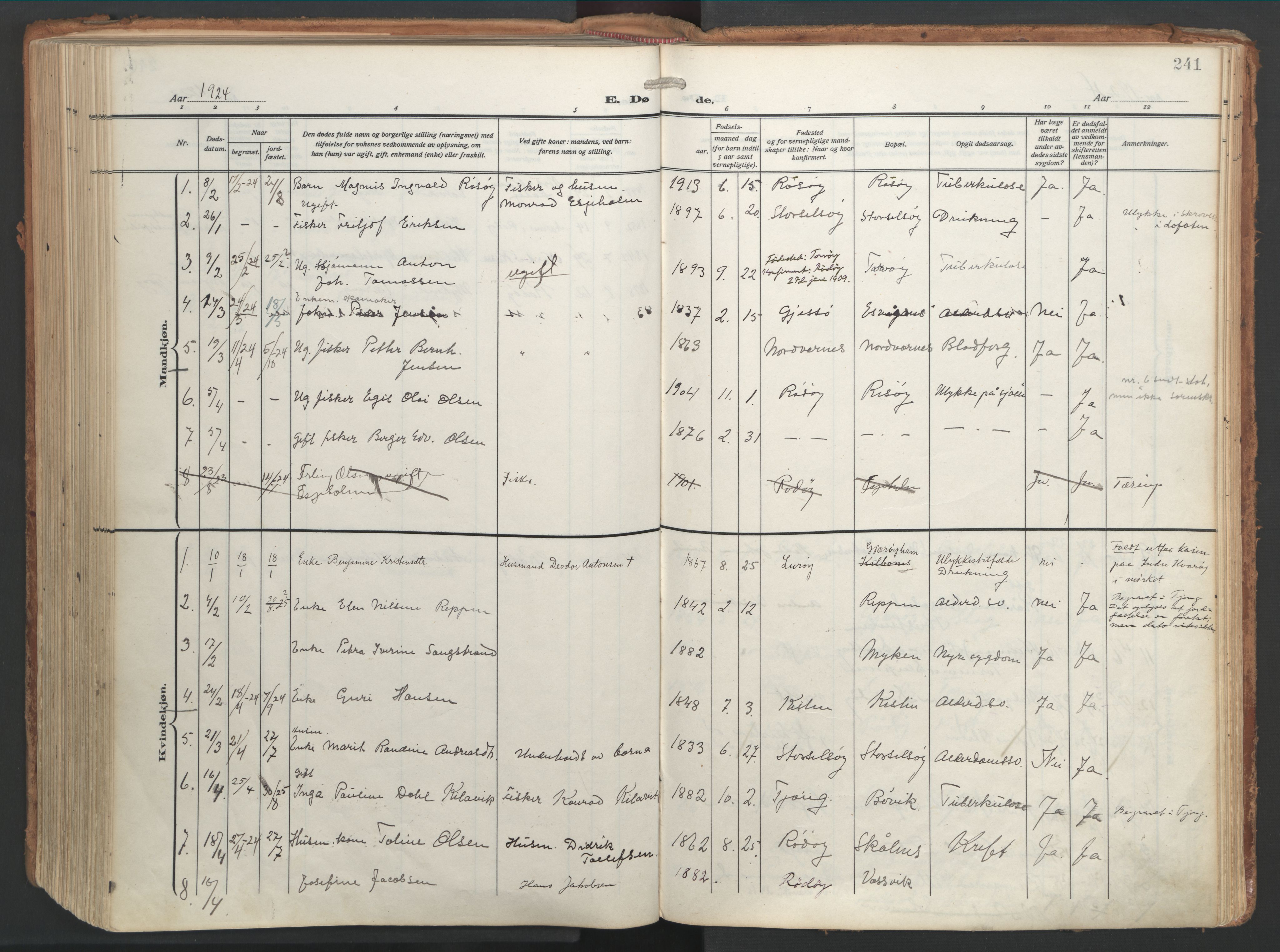 Ministerialprotokoller, klokkerbøker og fødselsregistre - Nordland, AV/SAT-A-1459/841/L0614: Ministerialbok nr. 841A17, 1911-1925, s. 241