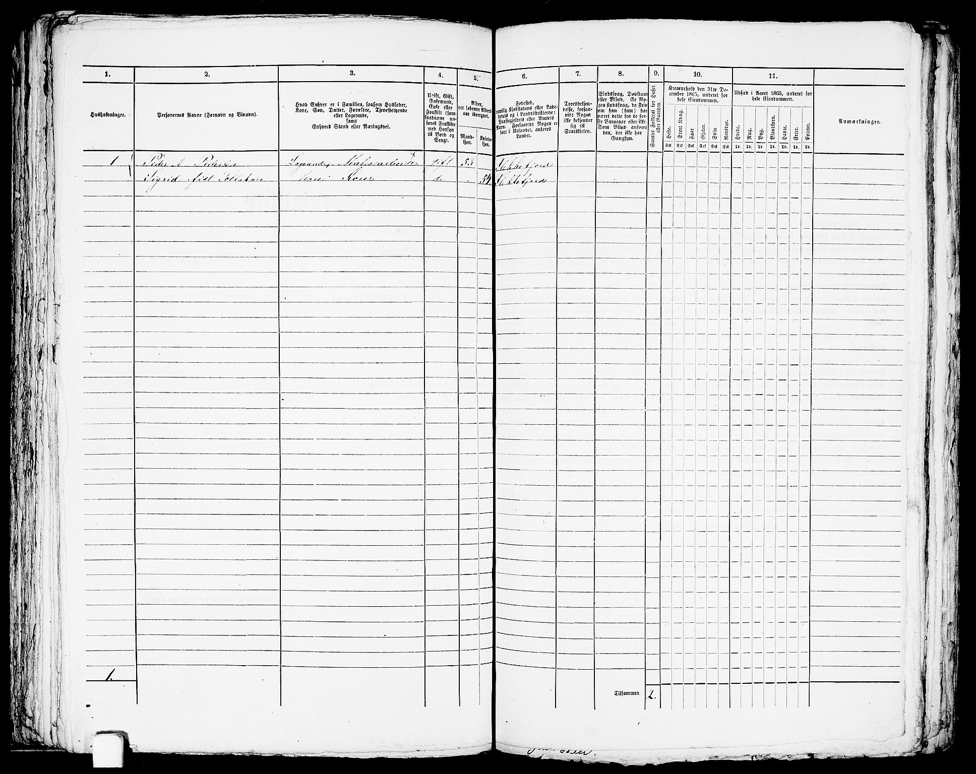 RA, Folketelling 1865 for 1004B Flekkefjord prestegjeld, Flekkefjord kjøpstad, 1865, s. 209