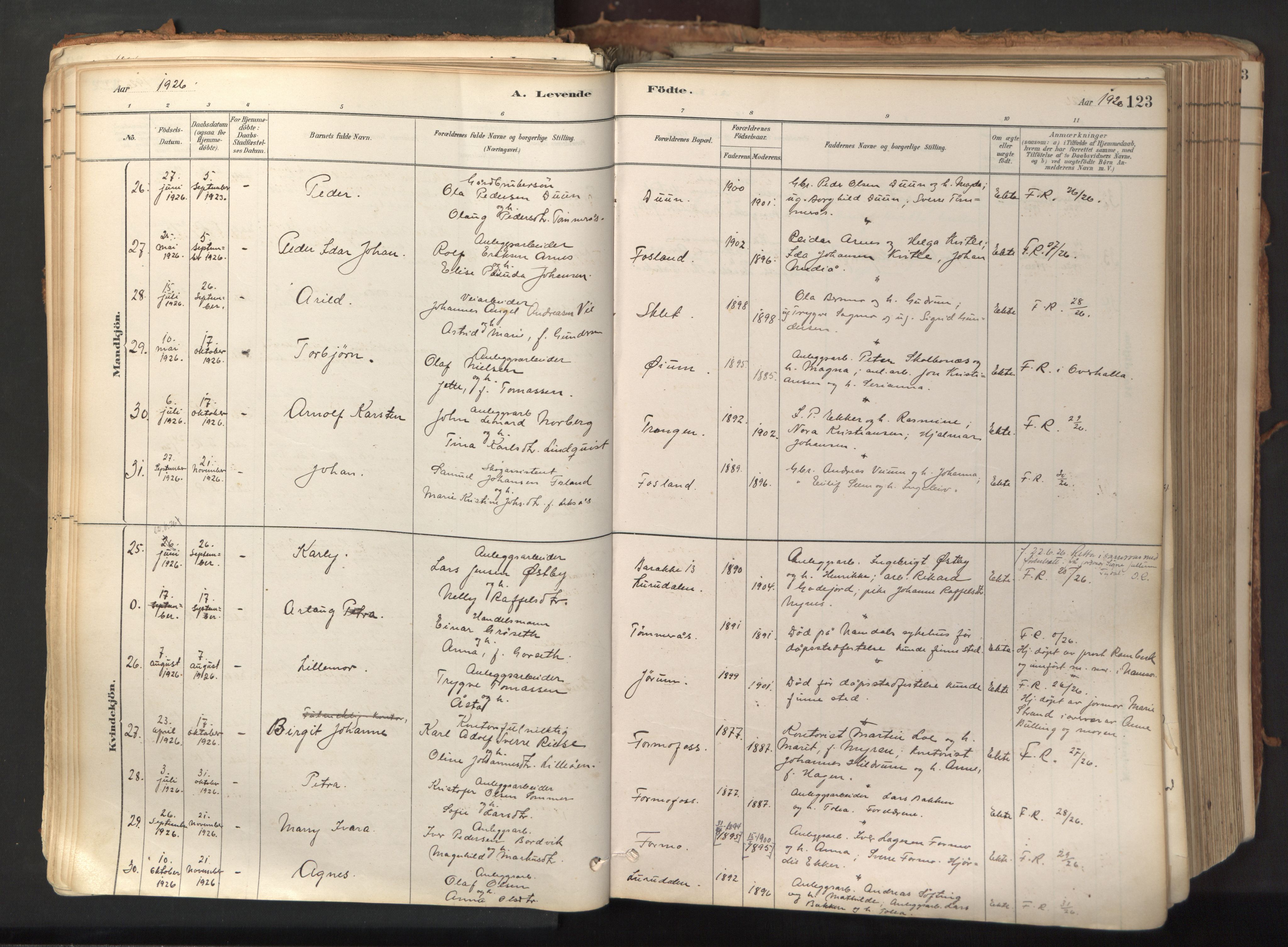 Ministerialprotokoller, klokkerbøker og fødselsregistre - Nord-Trøndelag, SAT/A-1458/758/L0519: Ministerialbok nr. 758A04, 1880-1926, s. 123