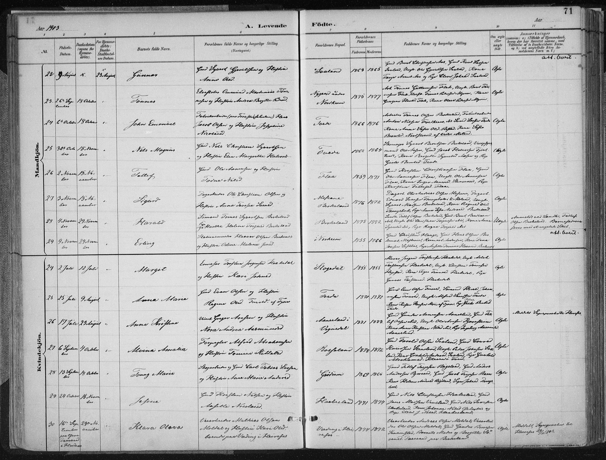 Birkenes sokneprestkontor, AV/SAK-1111-0004/F/Fa/L0005: Ministerialbok nr. A 5, 1887-1907, s. 71