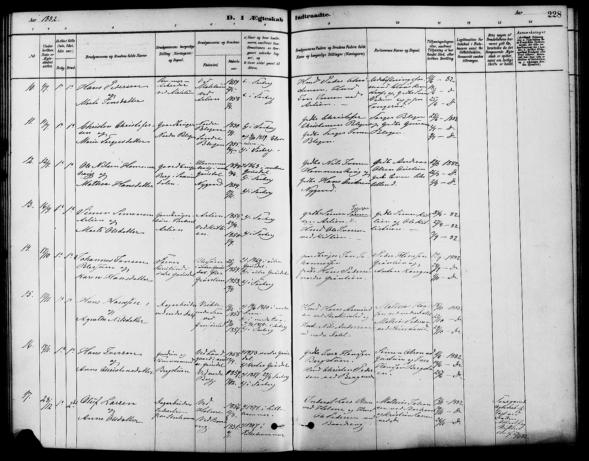 Fåberg prestekontor, AV/SAH-PREST-086/H/Ha/Haa/L0008: Ministerialbok nr. 8, 1879-1898, s. 228
