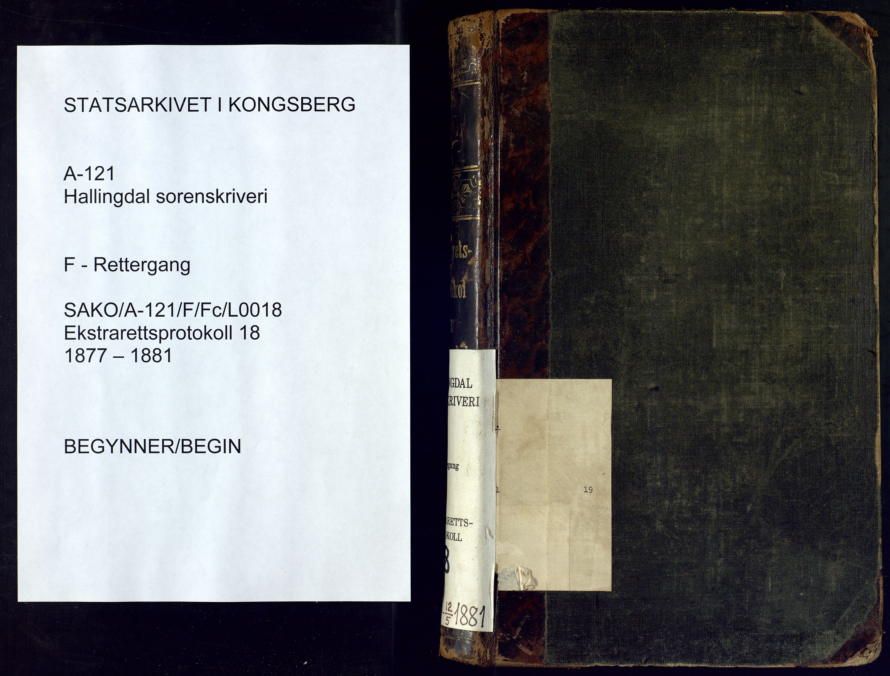 Hallingdal sorenskriveri, SAKO/A-121/F/Fc/L0018: Ekstrarettsprotokoll, 1877-1881