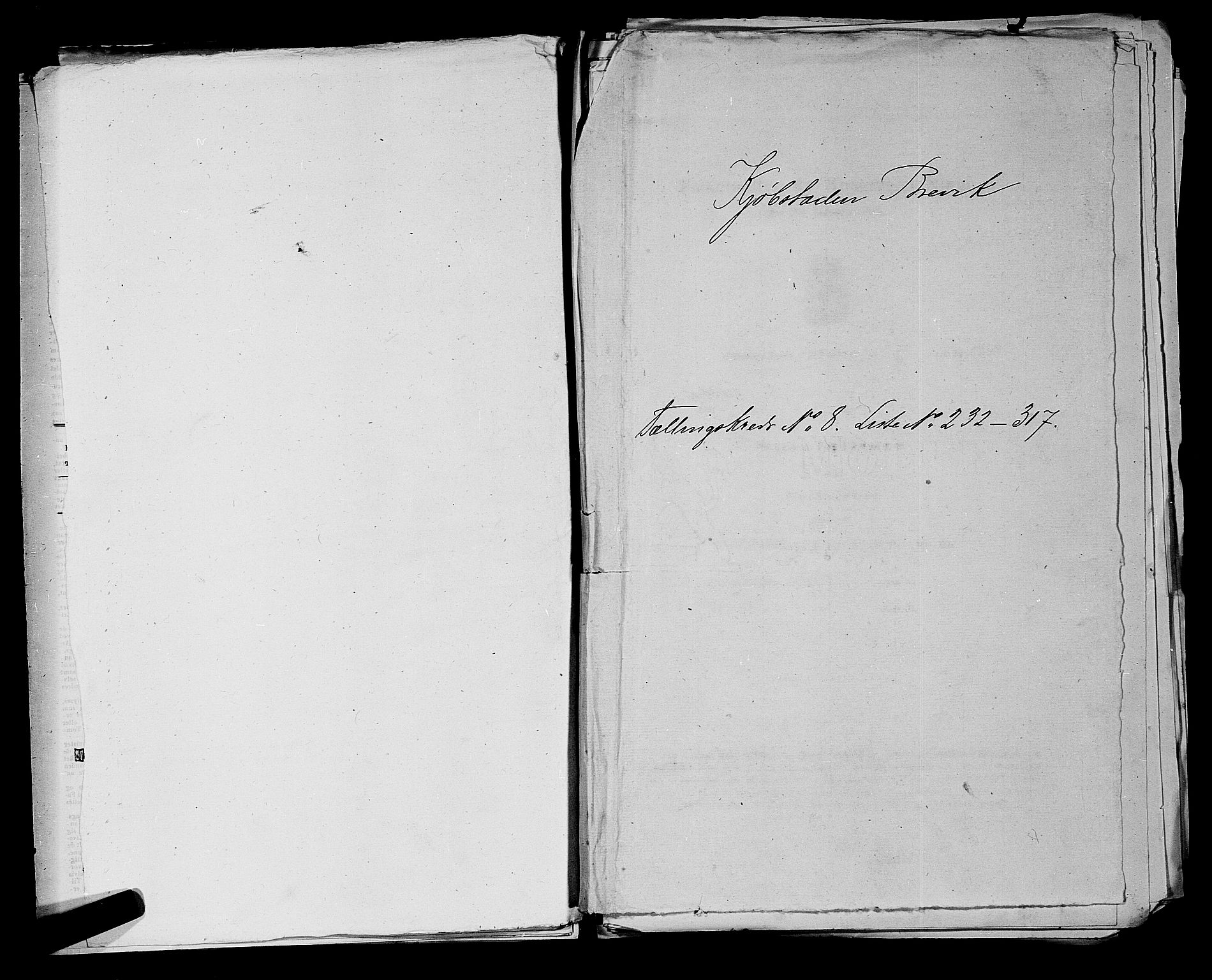 SAKO, Folketelling 1875 for 0804P Brevik prestegjeld, 1875, s. 516