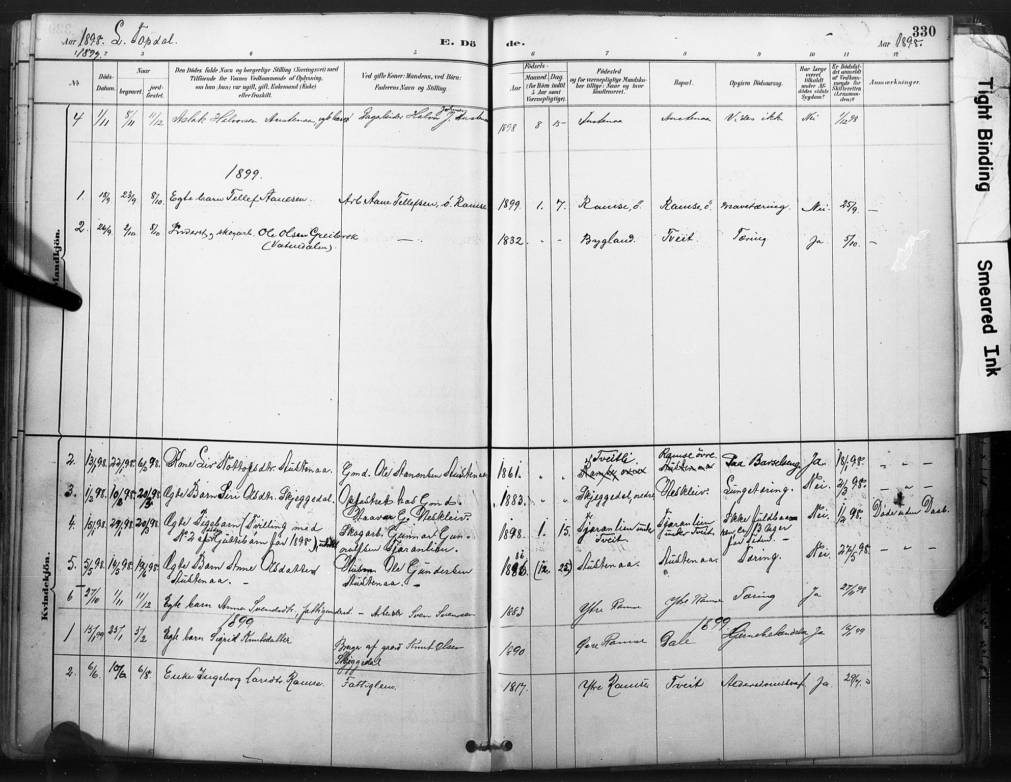 Åmli sokneprestkontor, SAK/1111-0050/F/Fa/Fac/L0010: Ministerialbok nr. A 10 /3, 1885-1899, s. 330