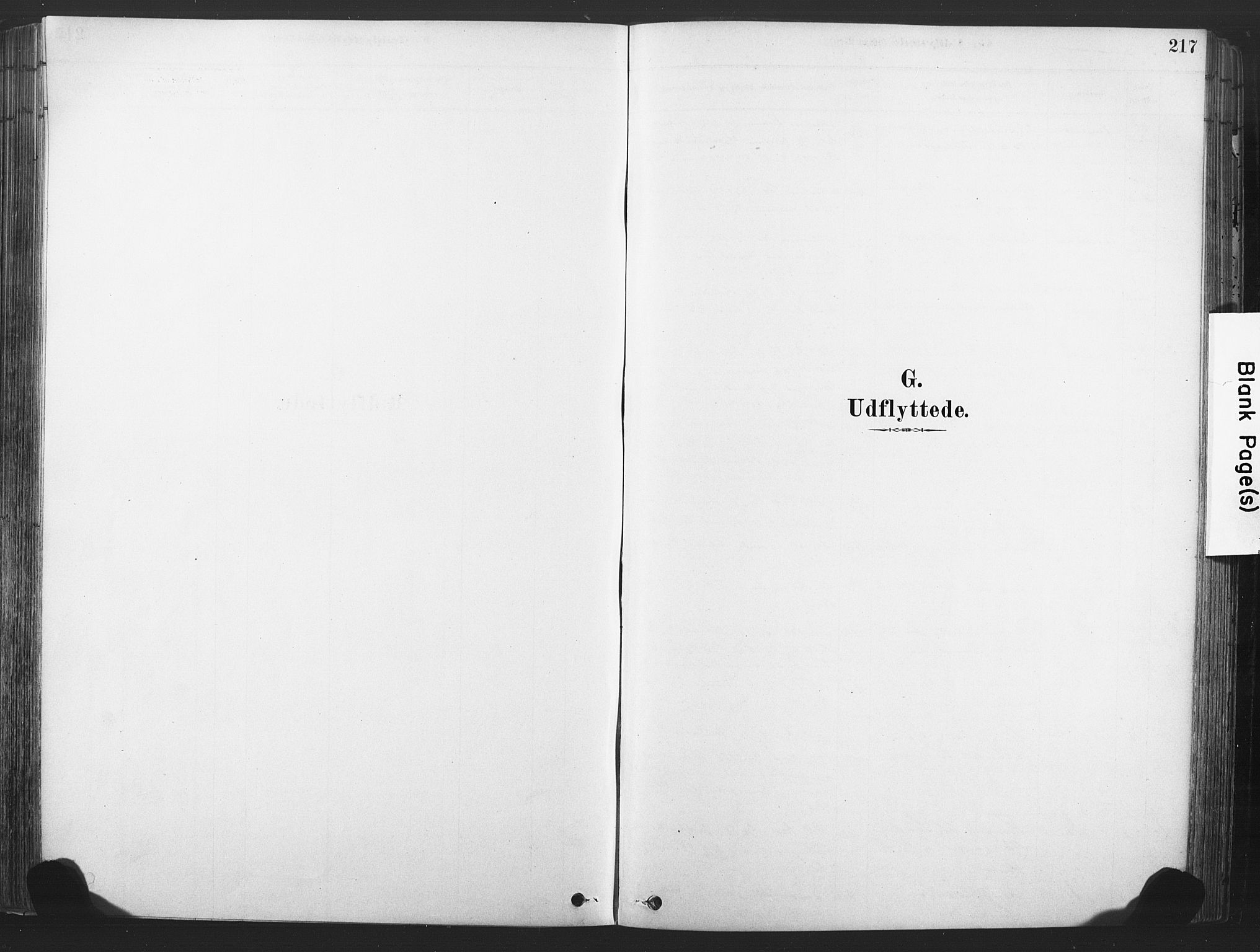 Rollag kirkebøker, SAKO/A-240/F/Fa/L0011: Ministerialbok nr. I 11, 1878-1902, s. 217