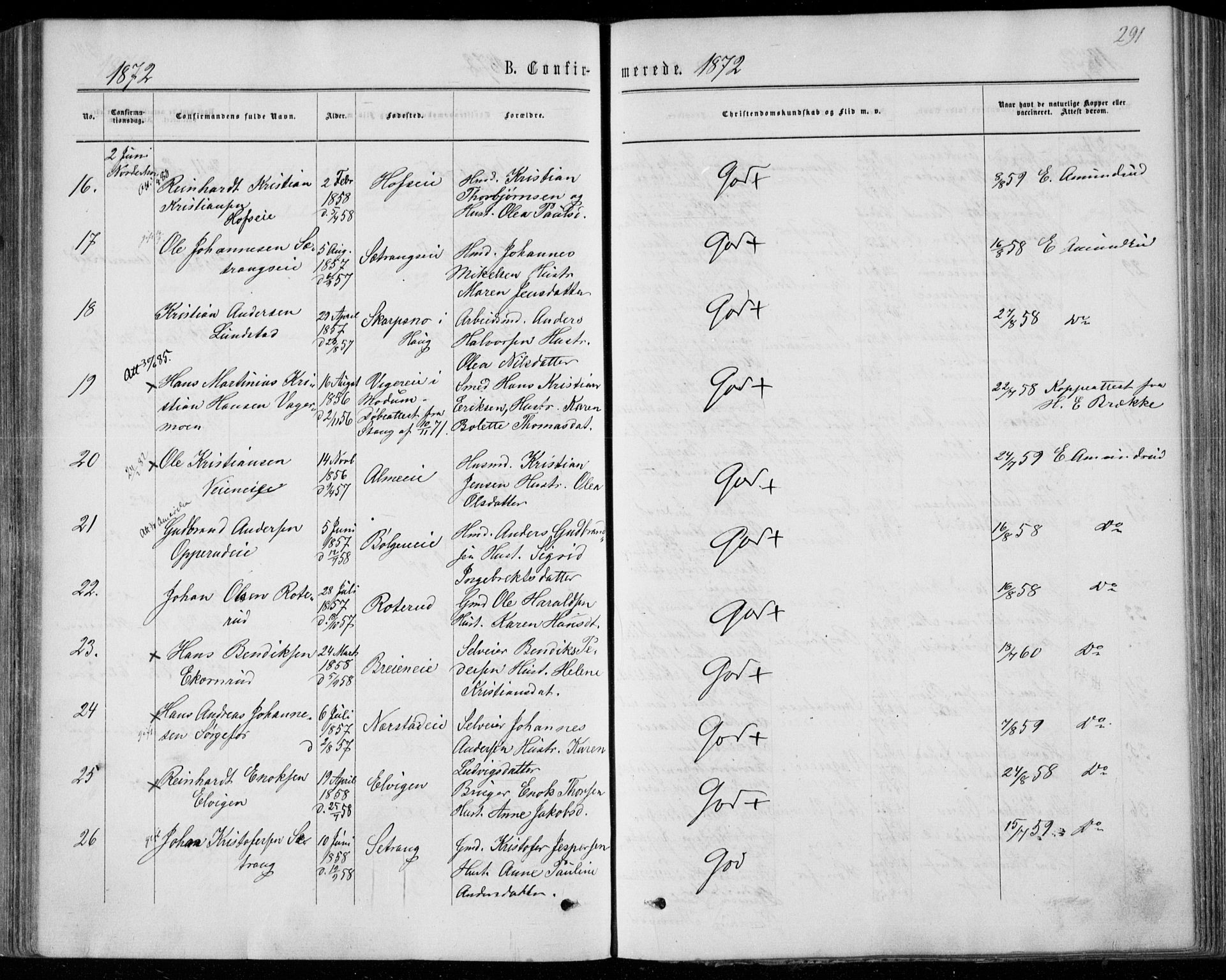 Norderhov kirkebøker, AV/SAKO-A-237/F/Fa/L0013: Ministerialbok nr. 13, 1866-1874, s. 291
