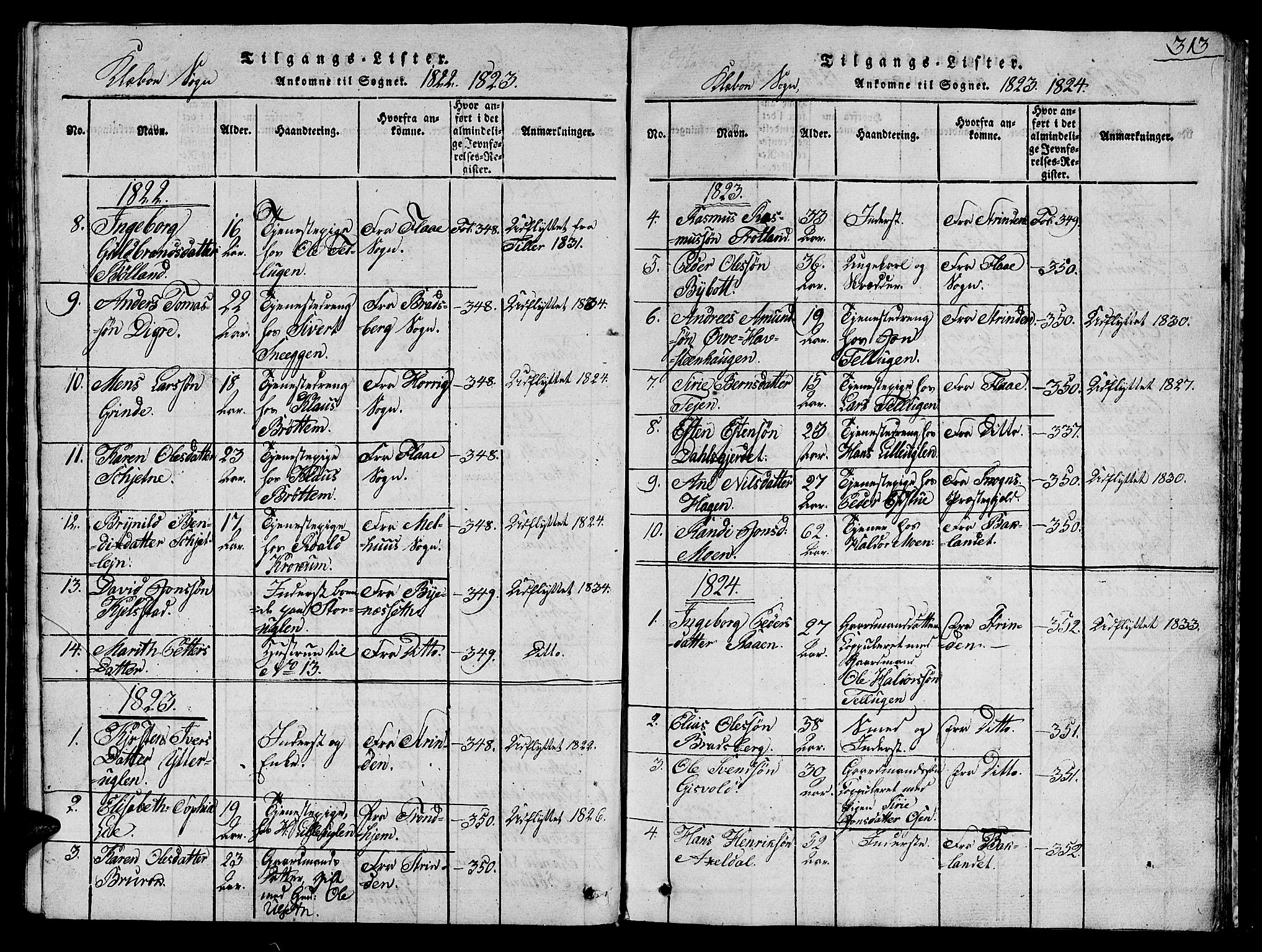 Ministerialprotokoller, klokkerbøker og fødselsregistre - Sør-Trøndelag, SAT/A-1456/618/L0450: Klokkerbok nr. 618C01, 1816-1865, s. 313