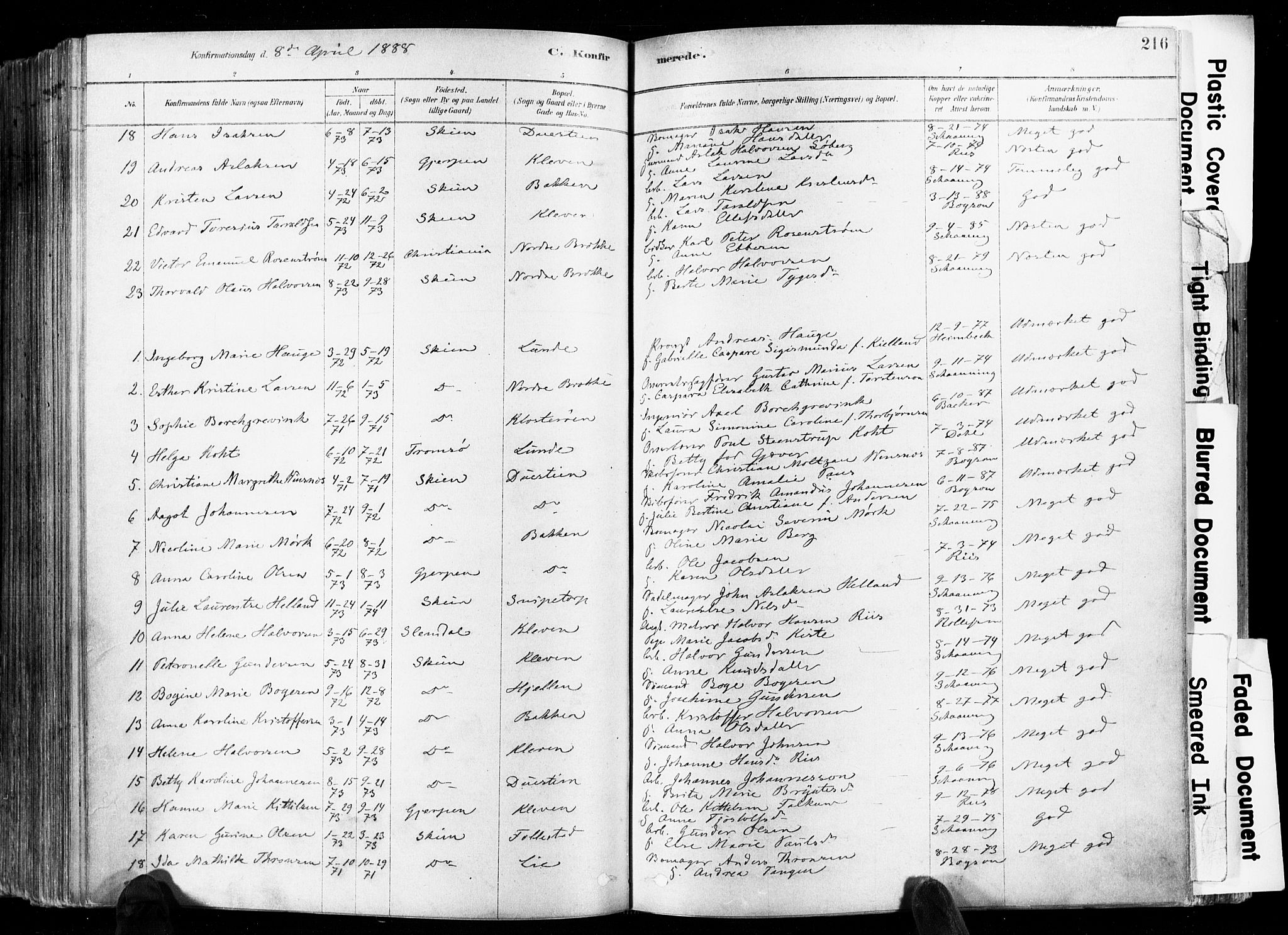 Skien kirkebøker, SAKO/A-302/F/Fa/L0009: Ministerialbok nr. 9, 1878-1890, s. 216