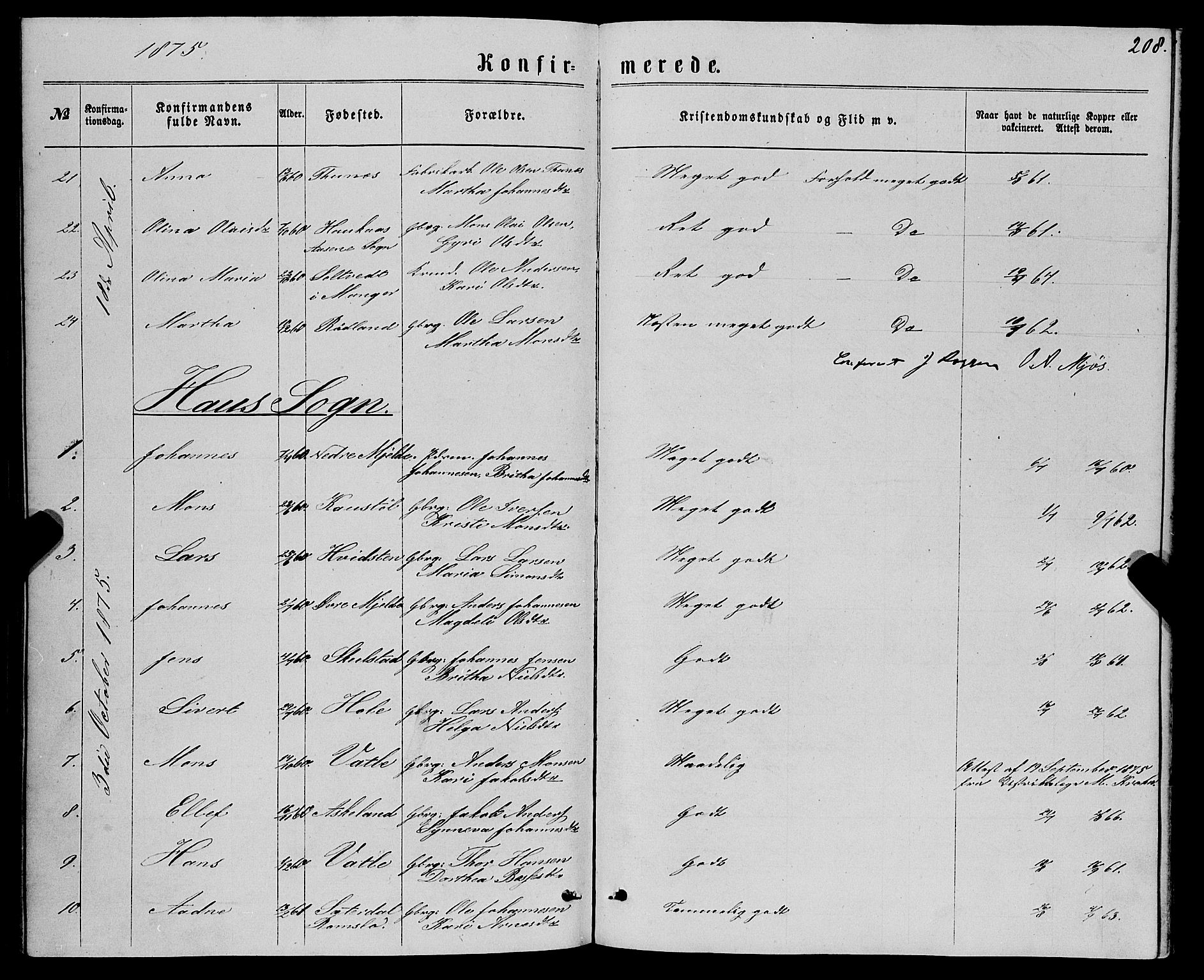 Haus sokneprestembete, AV/SAB-A-75601/H/Haa: Ministerialbok nr. A 18, 1871-1877, s. 208