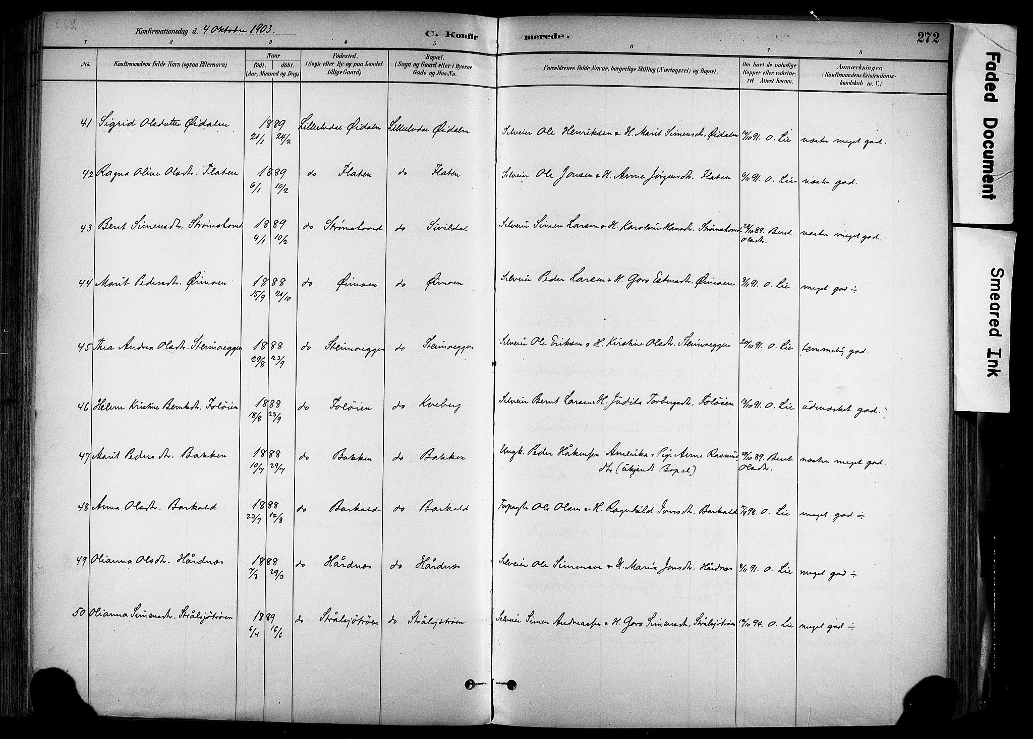 Alvdal prestekontor, AV/SAH-PREST-060/H/Ha/Haa/L0002: Ministerialbok nr. 2, 1883-1906, s. 272