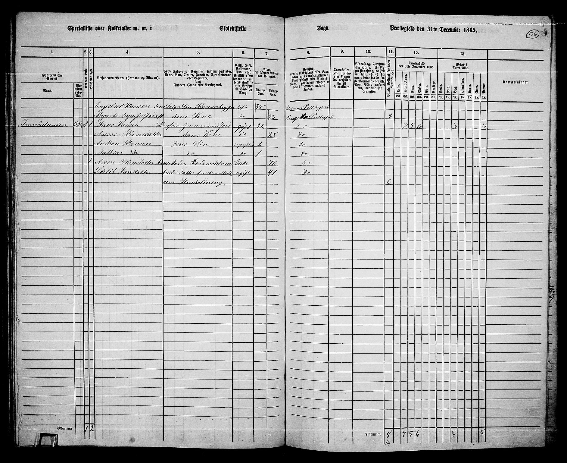 RA, Folketelling 1865 for 0520P Ringebu prestegjeld, 1865, s. 114