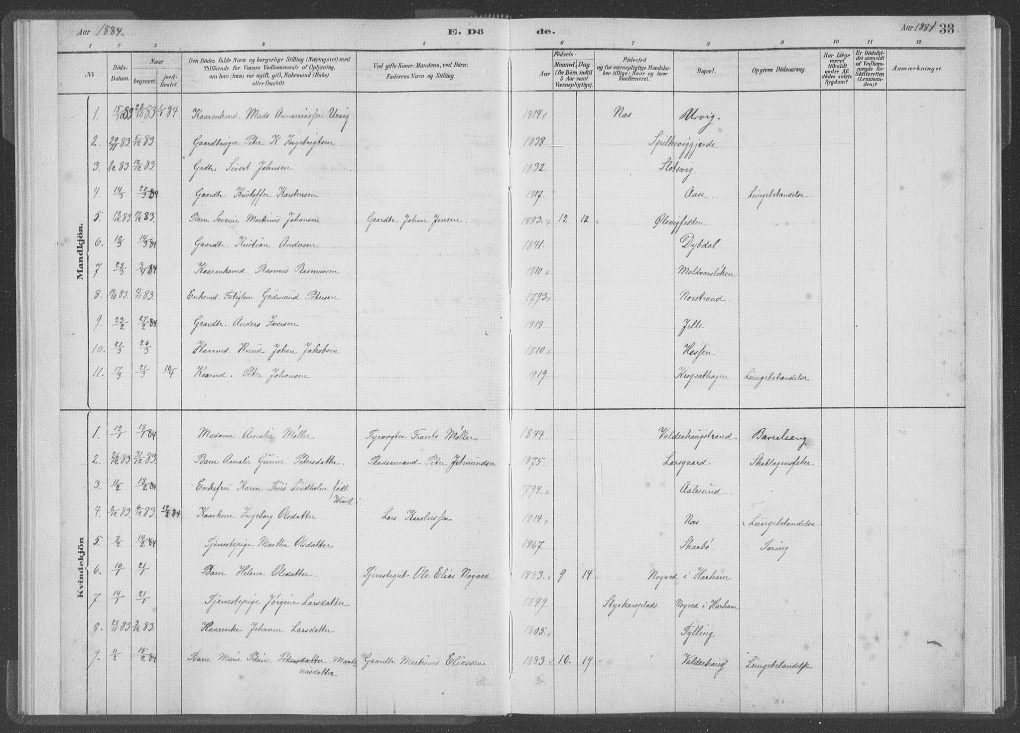 Ministerialprotokoller, klokkerbøker og fødselsregistre - Møre og Romsdal, SAT/A-1454/528/L0403: Ministerialbok nr. 528A13I, 1880-1947, s. 33