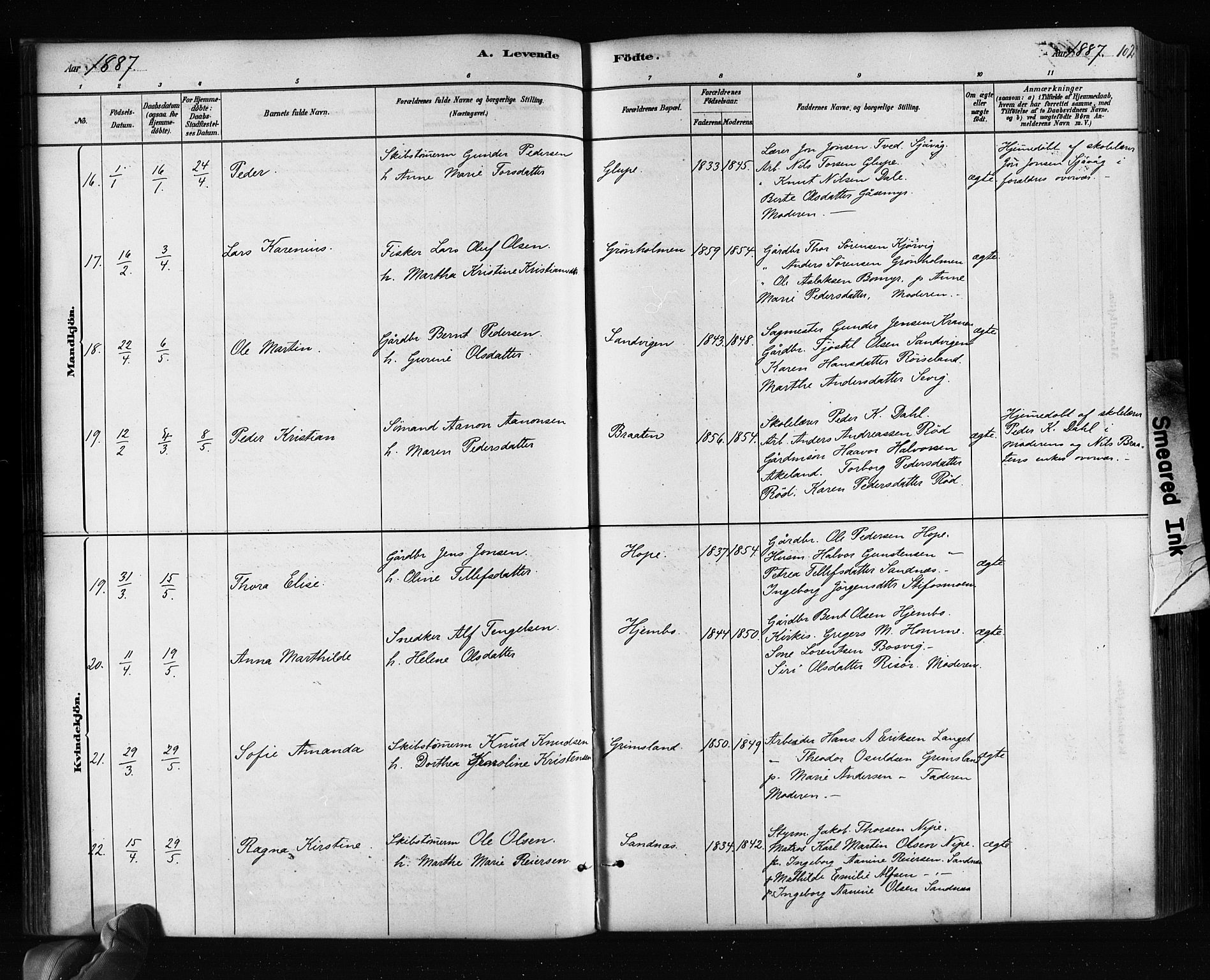 Søndeled sokneprestkontor, AV/SAK-1111-0038/F/Fa/L0004: Ministerialbok nr. A 4, 1880-1889, s. 102