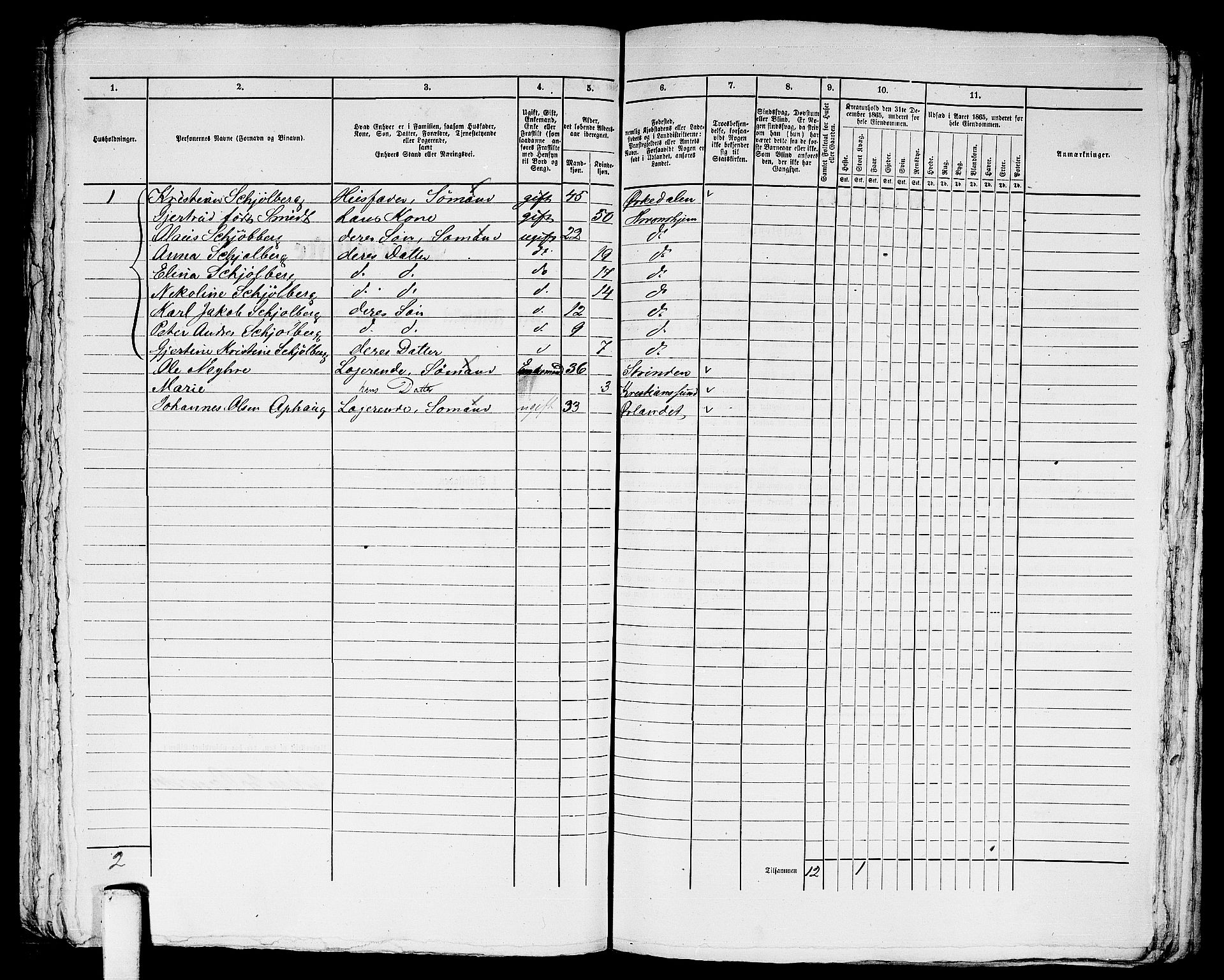 RA, Folketelling 1865 for 1601 Trondheim kjøpstad, 1865, s. 2417