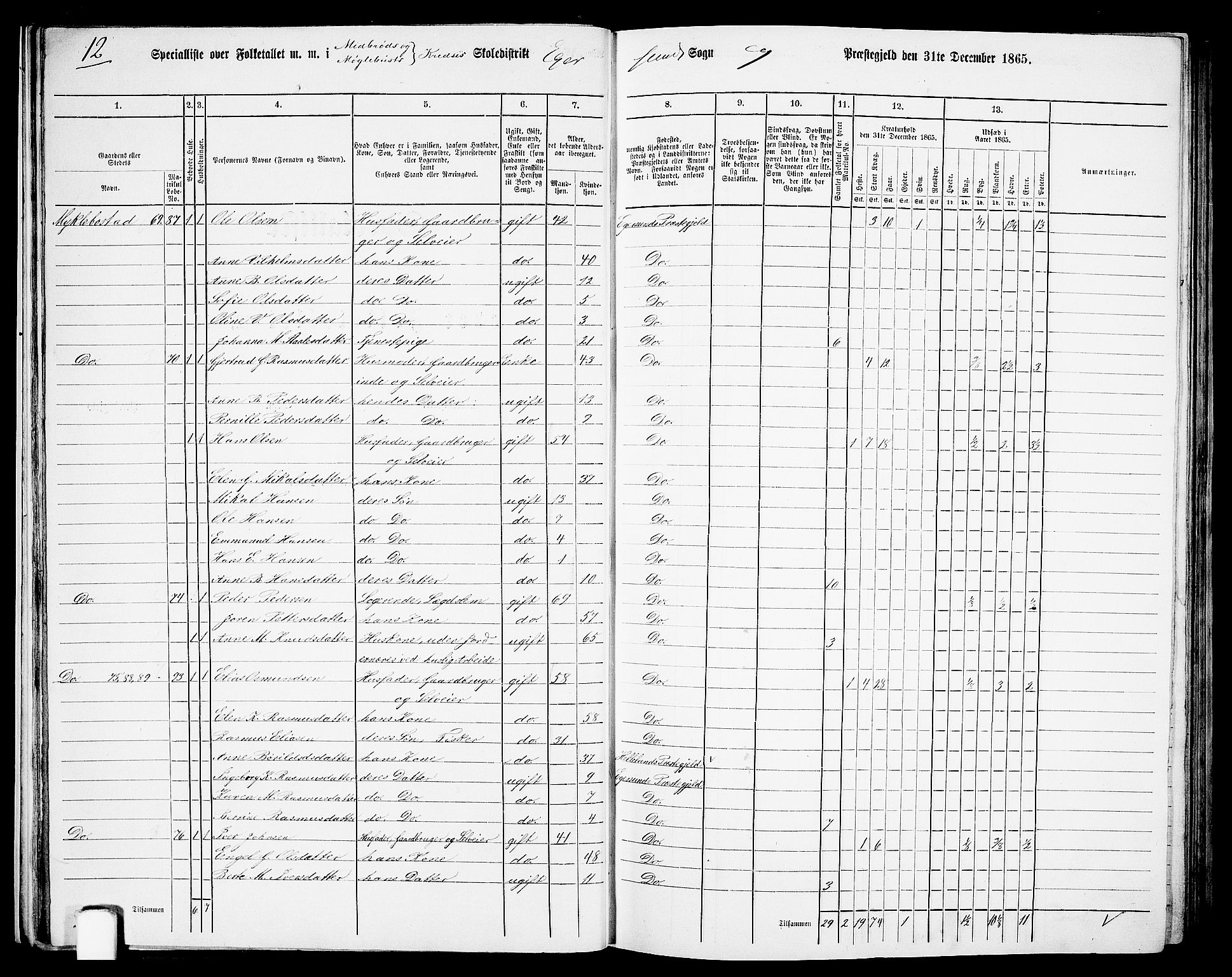 RA, Folketelling 1865 for 1116L Eigersund prestegjeld, Eigersund landsokn og Ogna sokn, 1865, s. 29