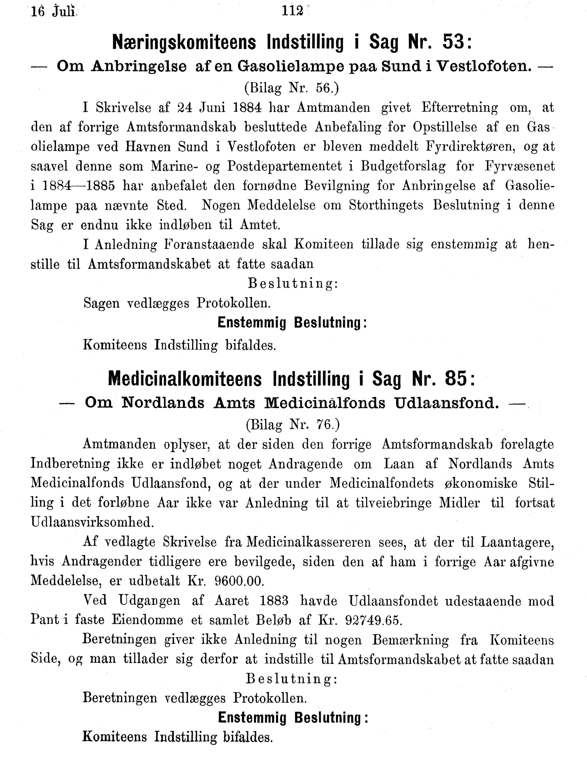 Nordland Fylkeskommune. Fylkestinget, AIN/NFK-17/176/A/Ac/L0014: Fylkestingsforhandlinger 1881-1885, 1881-1885