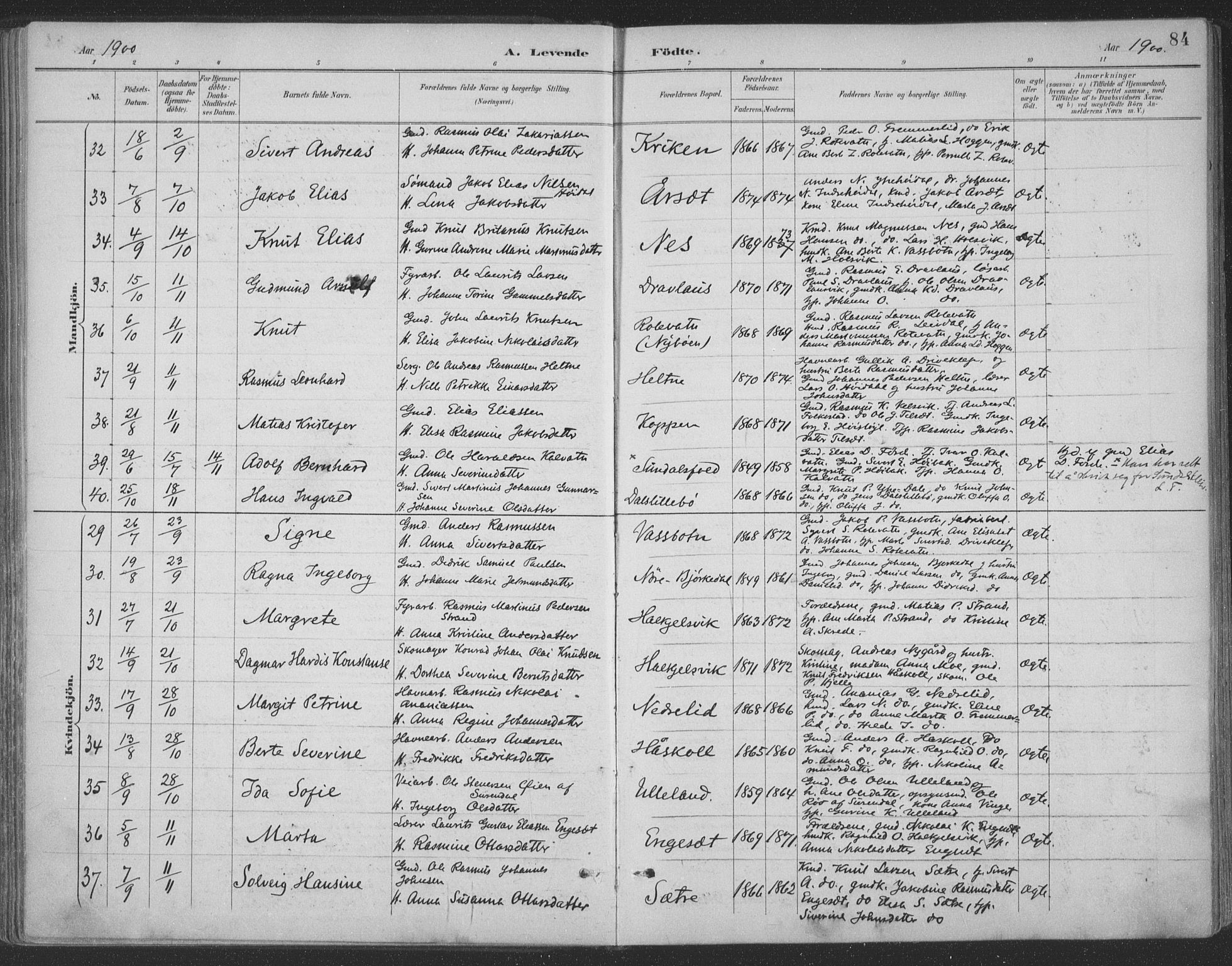 Ministerialprotokoller, klokkerbøker og fødselsregistre - Møre og Romsdal, AV/SAT-A-1454/511/L0142: Ministerialbok nr. 511A09, 1891-1905, s. 84