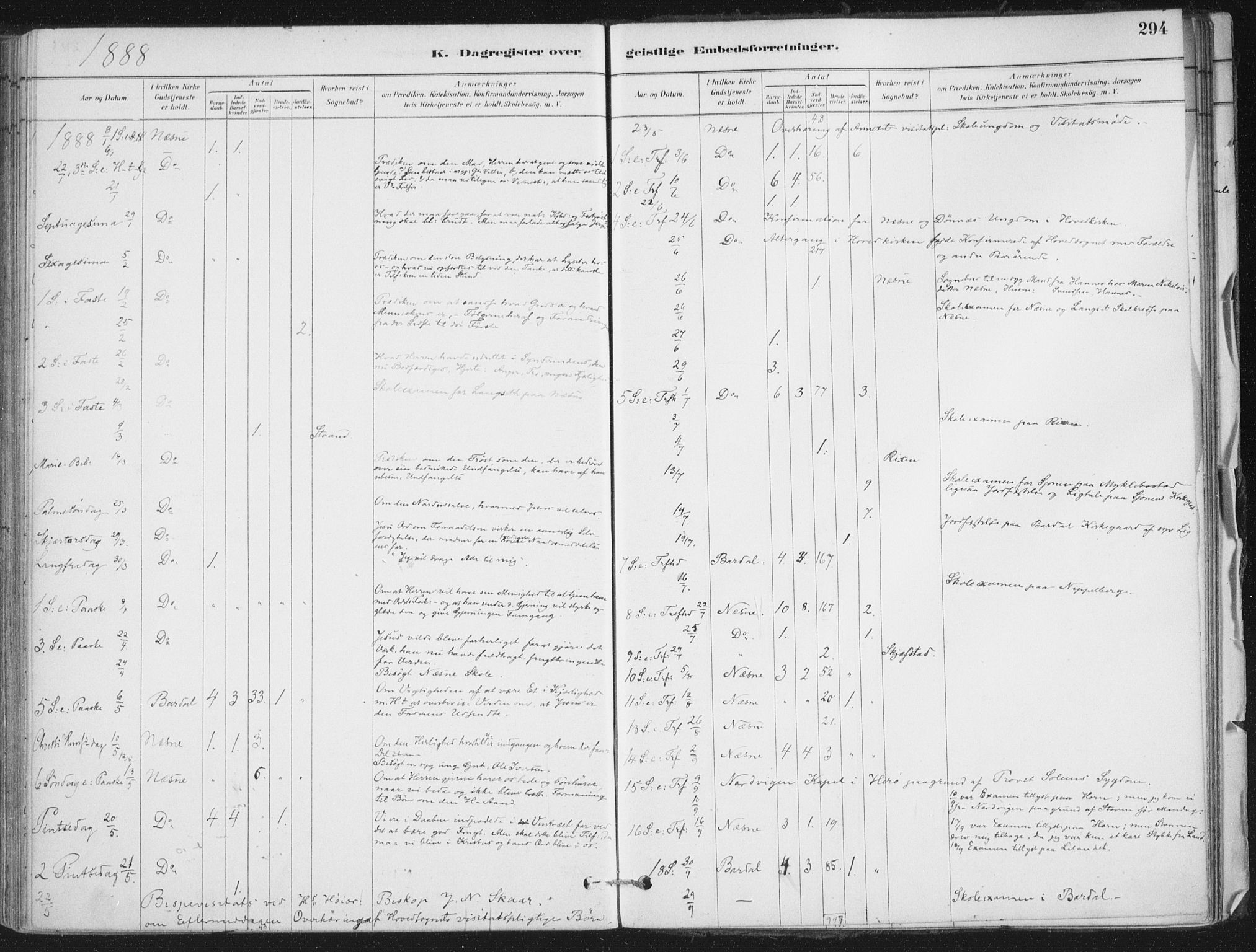 Ministerialprotokoller, klokkerbøker og fødselsregistre - Nordland, SAT/A-1459/838/L0553: Ministerialbok nr. 838A11, 1880-1910, s. 294