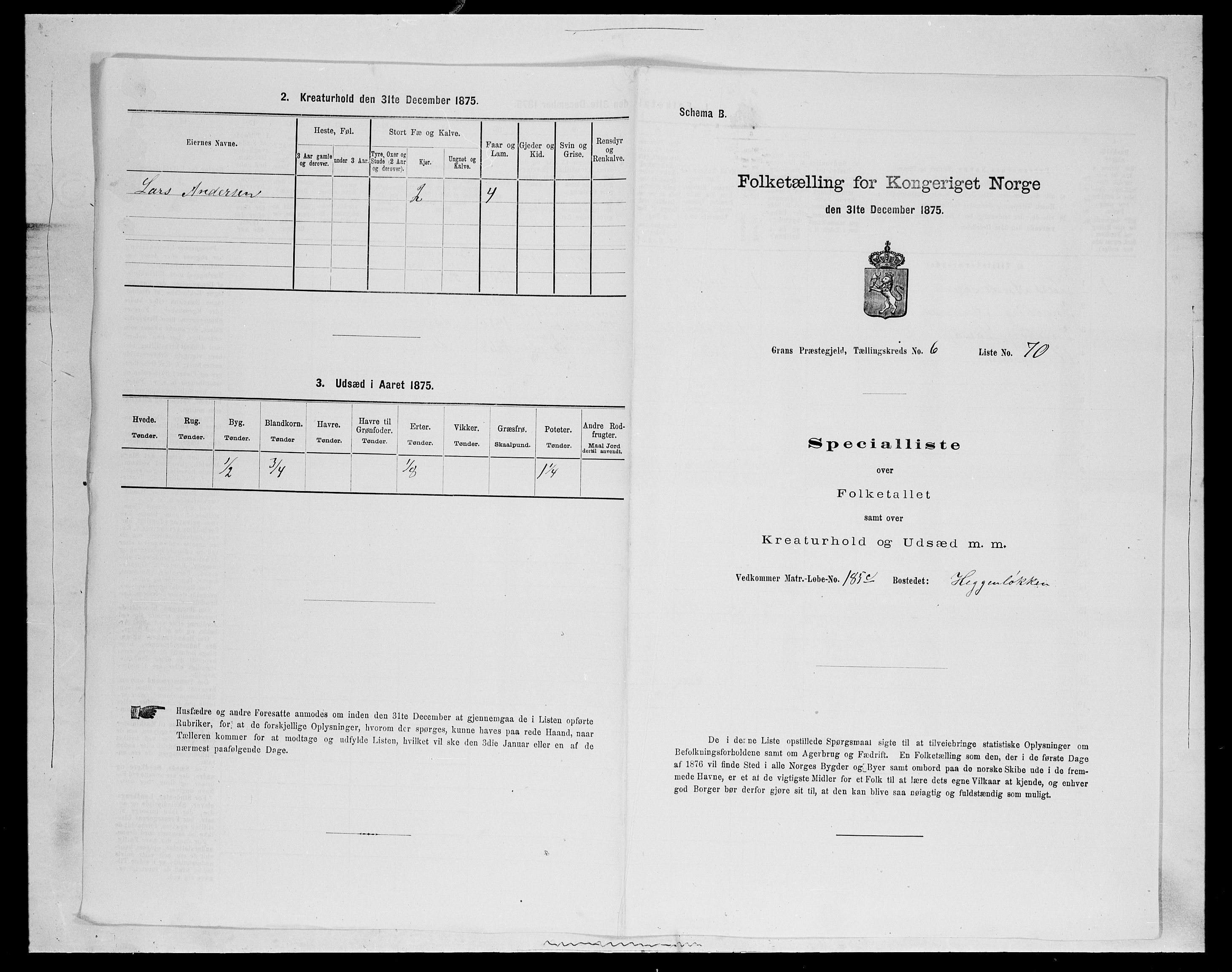 SAH, Folketelling 1875 for 0534P Gran prestegjeld, 1875, s. 1160