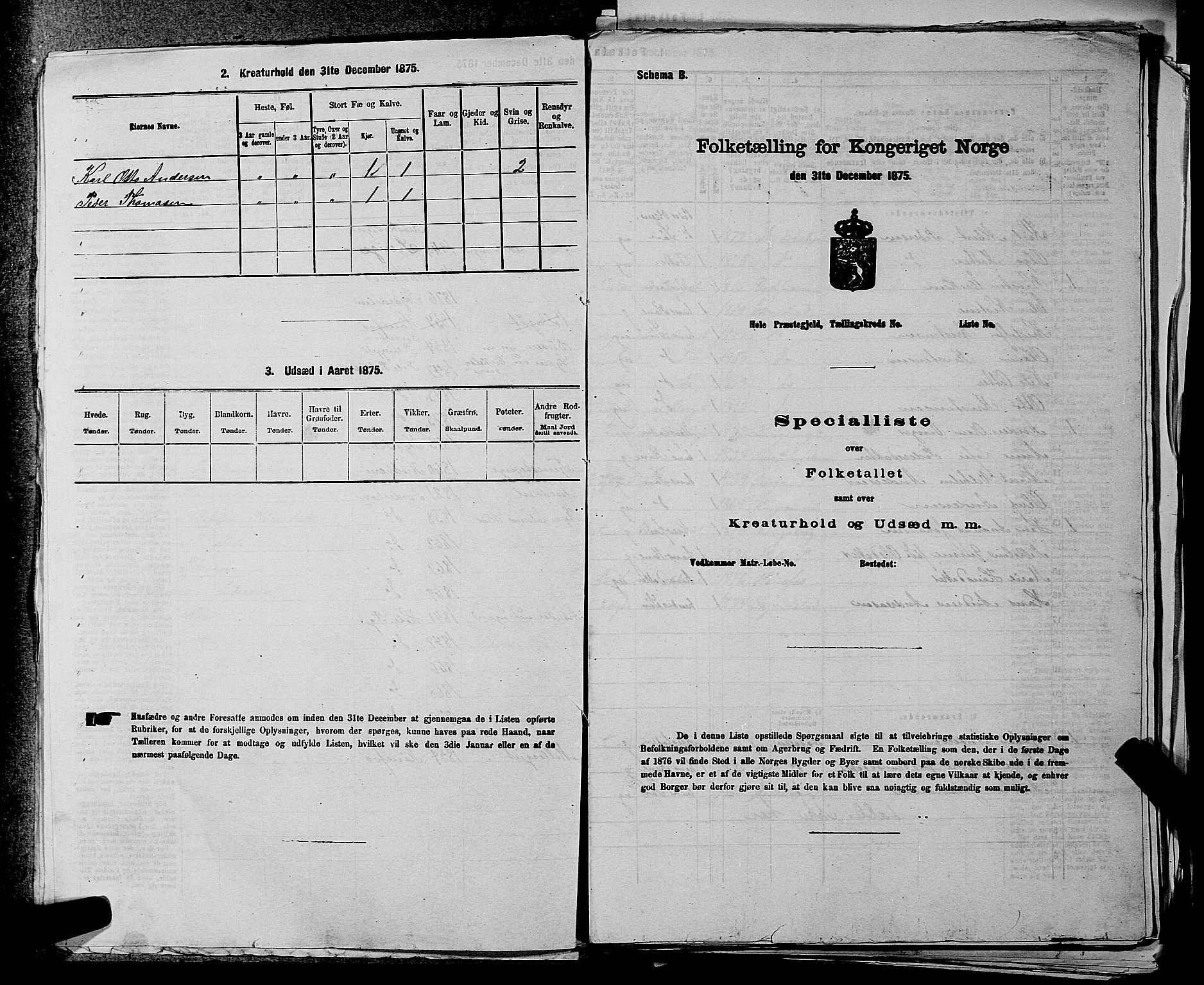 SAKO, Folketelling 1875 for 0612P Hole prestegjeld, 1875, s. 1122