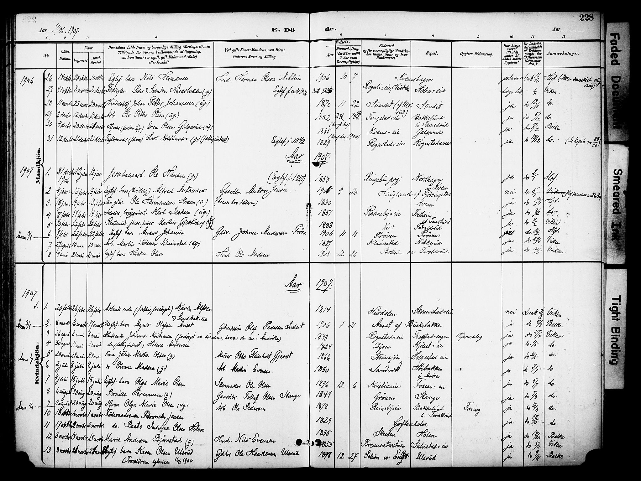 Østre Toten prestekontor, SAH/PREST-104/H/Ha/Haa/L0009: Ministerialbok nr. 9, 1897-1913, s. 228