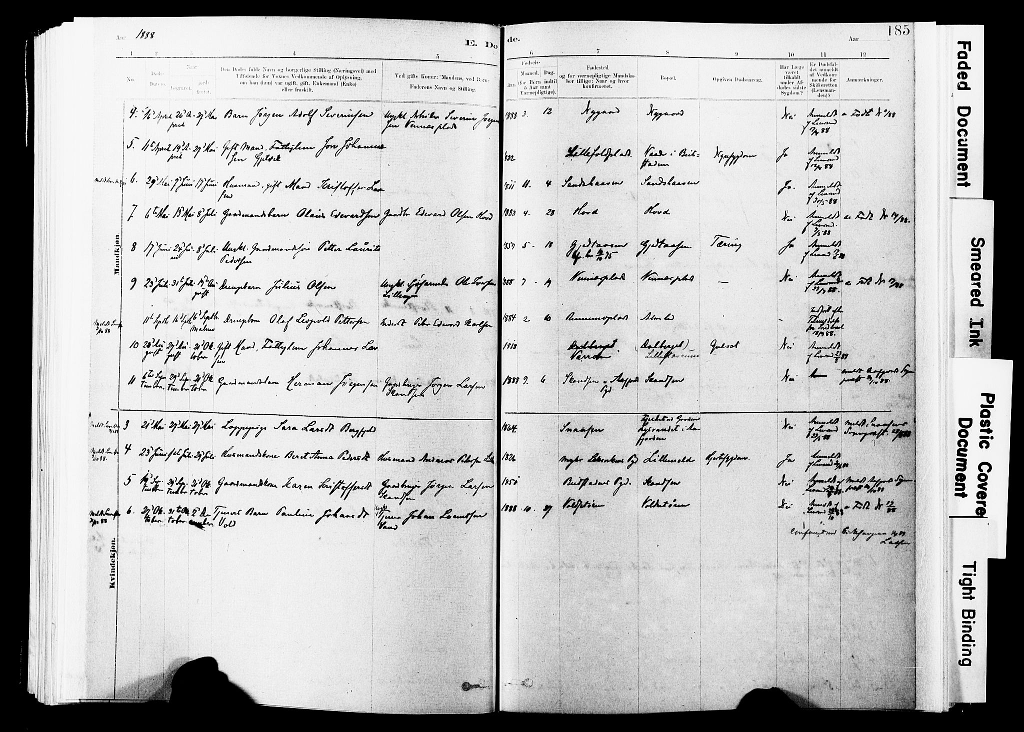 Ministerialprotokoller, klokkerbøker og fødselsregistre - Nord-Trøndelag, SAT/A-1458/744/L0420: Ministerialbok nr. 744A04, 1882-1904, s. 185