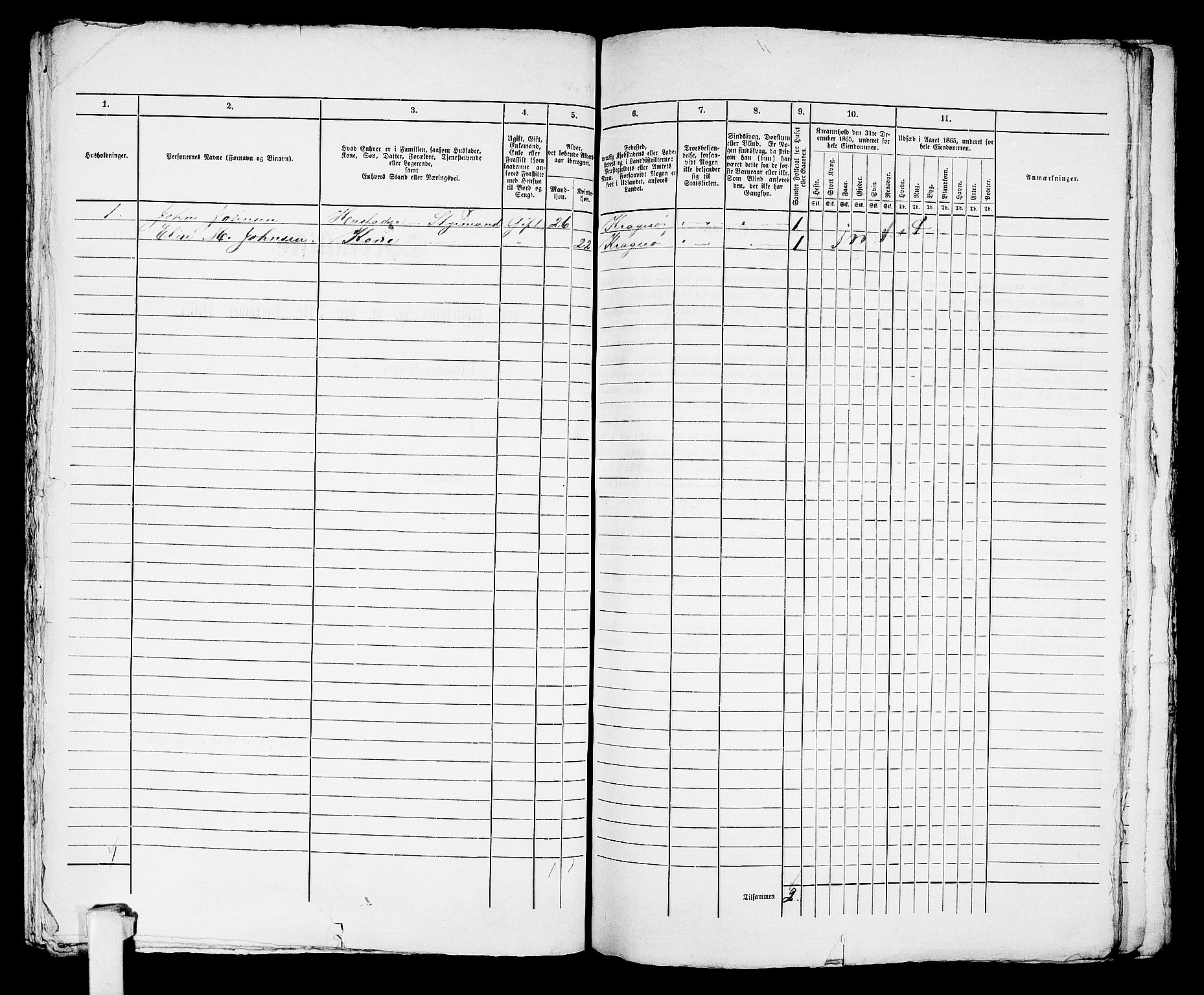 RA, Folketelling 1865 for 0801B Kragerø prestegjeld, Kragerø kjøpstad, 1865, s. 849