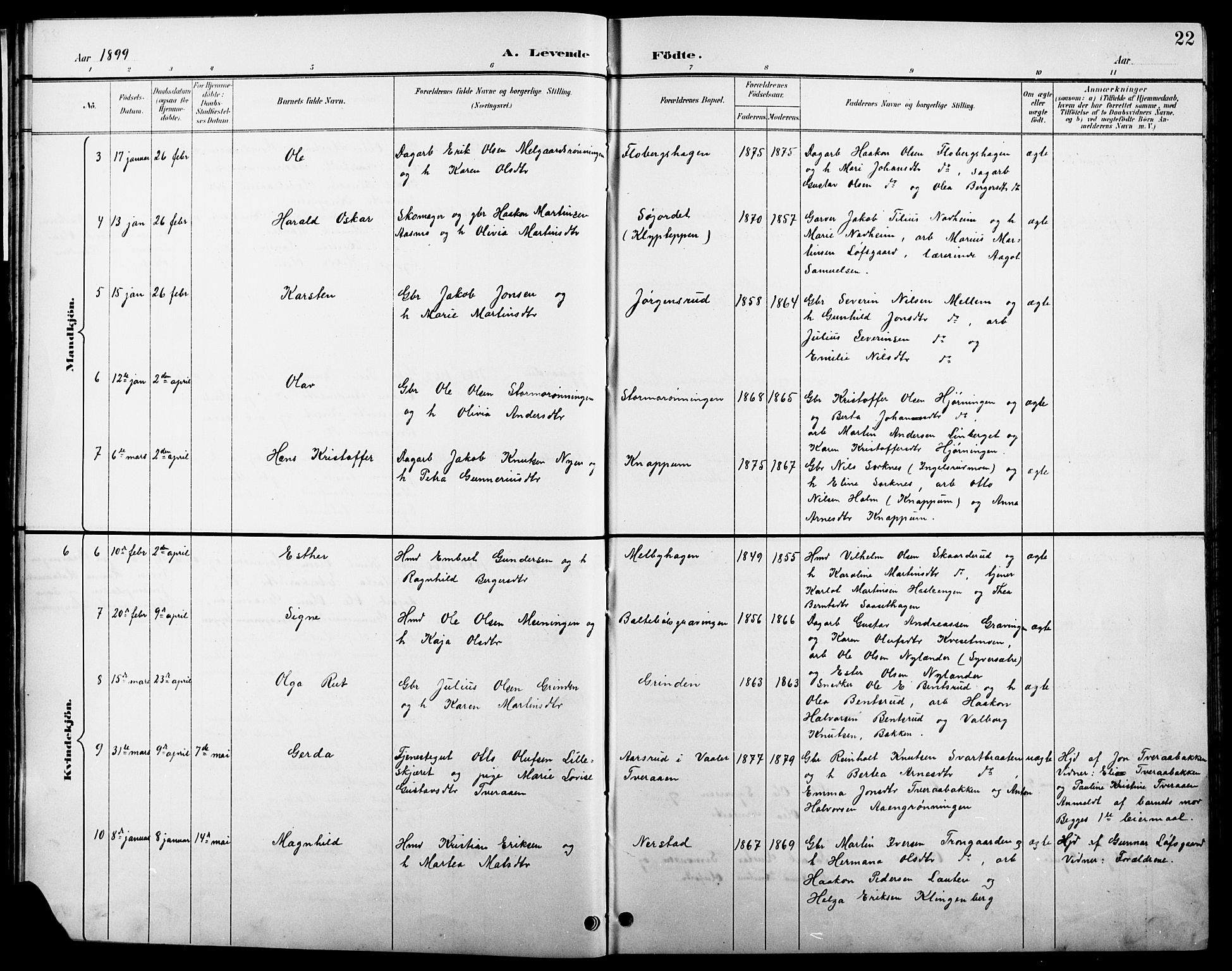 Åsnes prestekontor, AV/SAH-PREST-042/H/Ha/Hab/L0004: Klokkerbok nr. 4, 1895-1909, s. 22