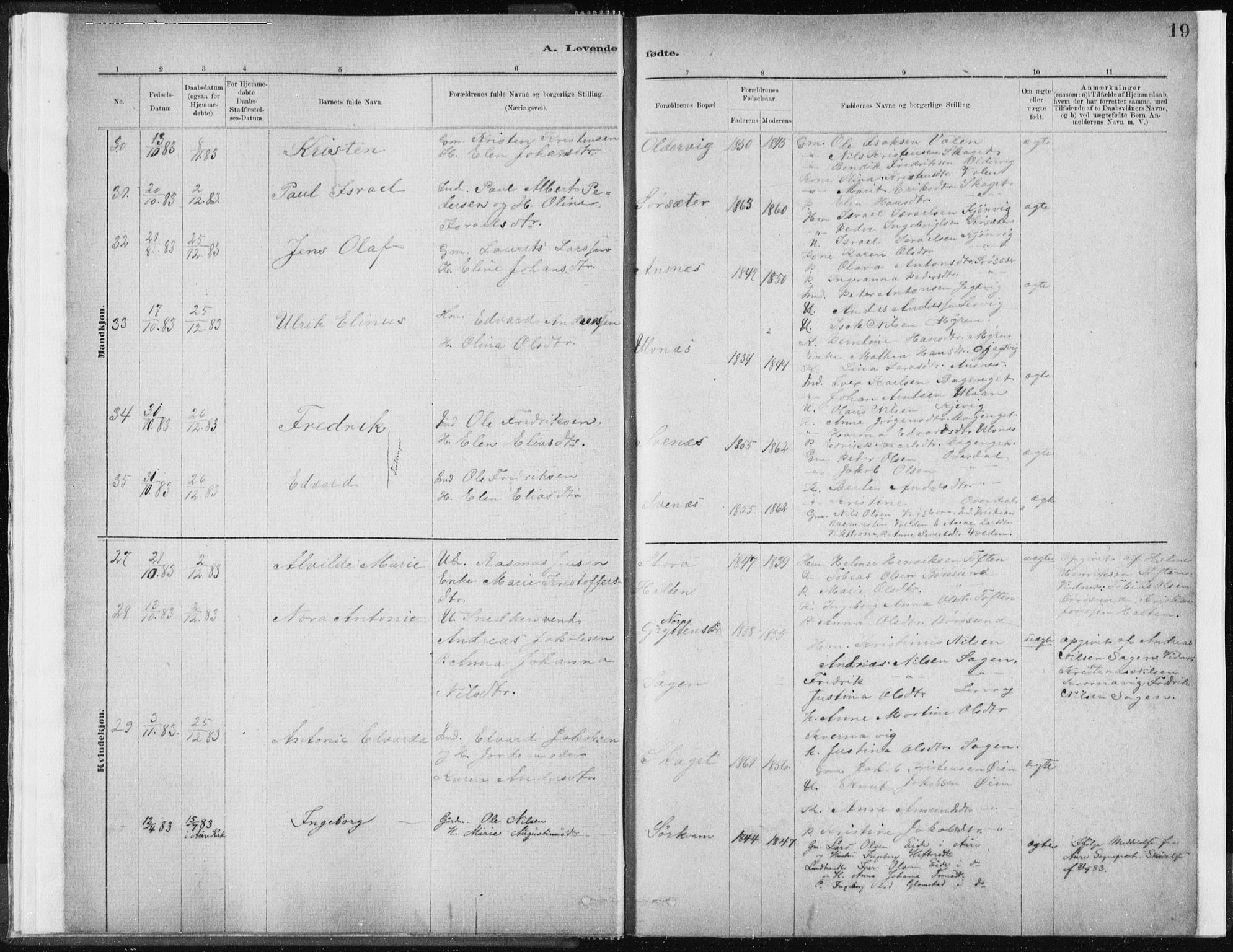 Ministerialprotokoller, klokkerbøker og fødselsregistre - Sør-Trøndelag, SAT/A-1456/637/L0558: Ministerialbok nr. 637A01, 1882-1899, s. 19