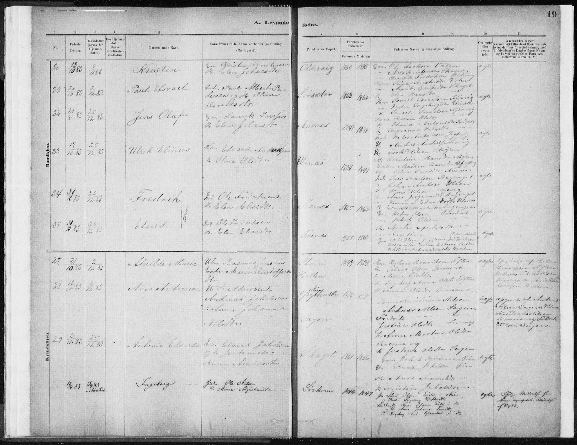 Ministerialprotokoller, klokkerbøker og fødselsregistre - Sør-Trøndelag, AV/SAT-A-1456/637/L0558: Ministerialbok nr. 637A01, 1882-1899, s. 19