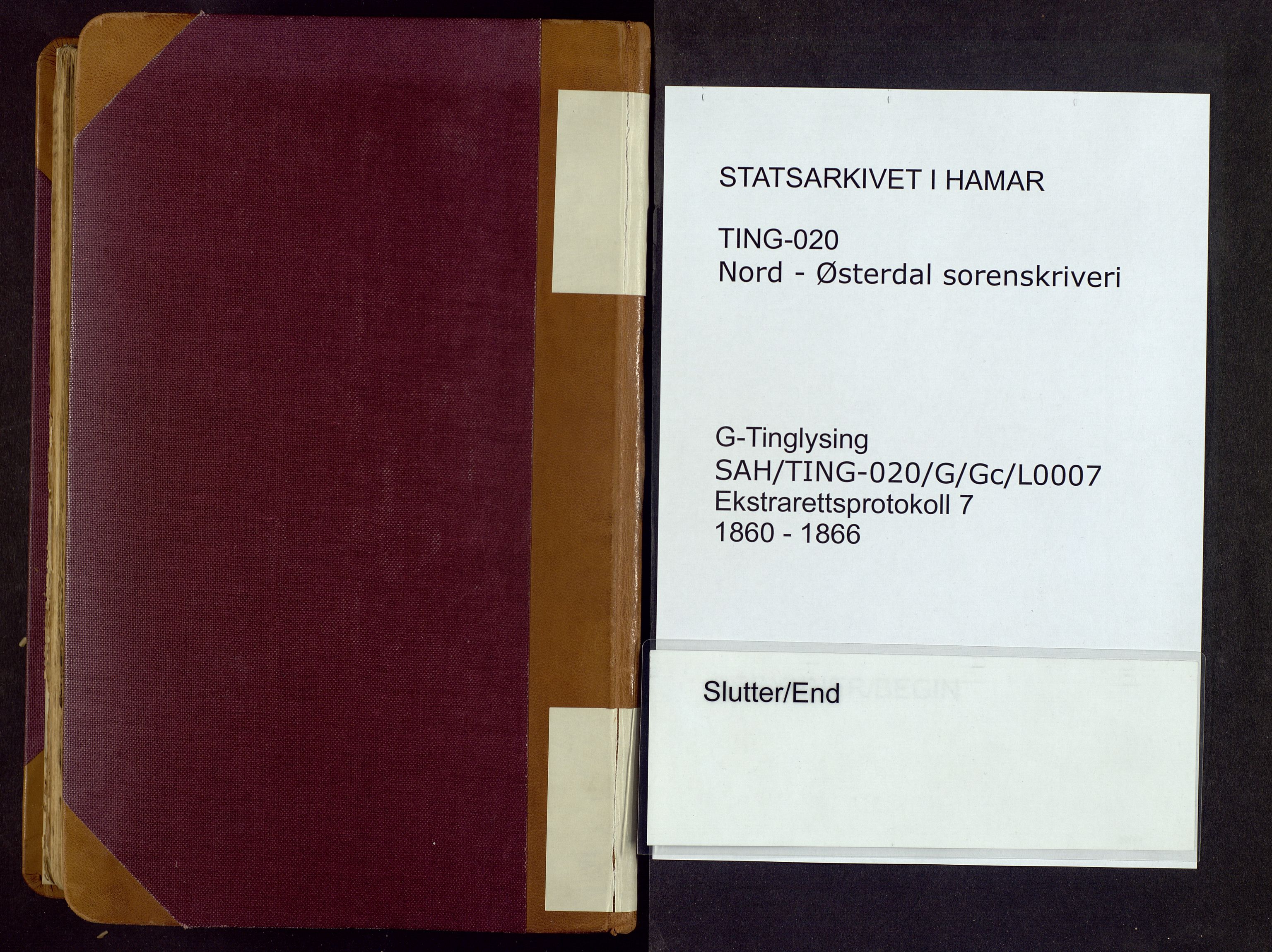 Nord-Østerdal tingrett, AV/SAH-TING-020/G/Gc/L0007: Ekstrarettsprotokoll, 1860-1866