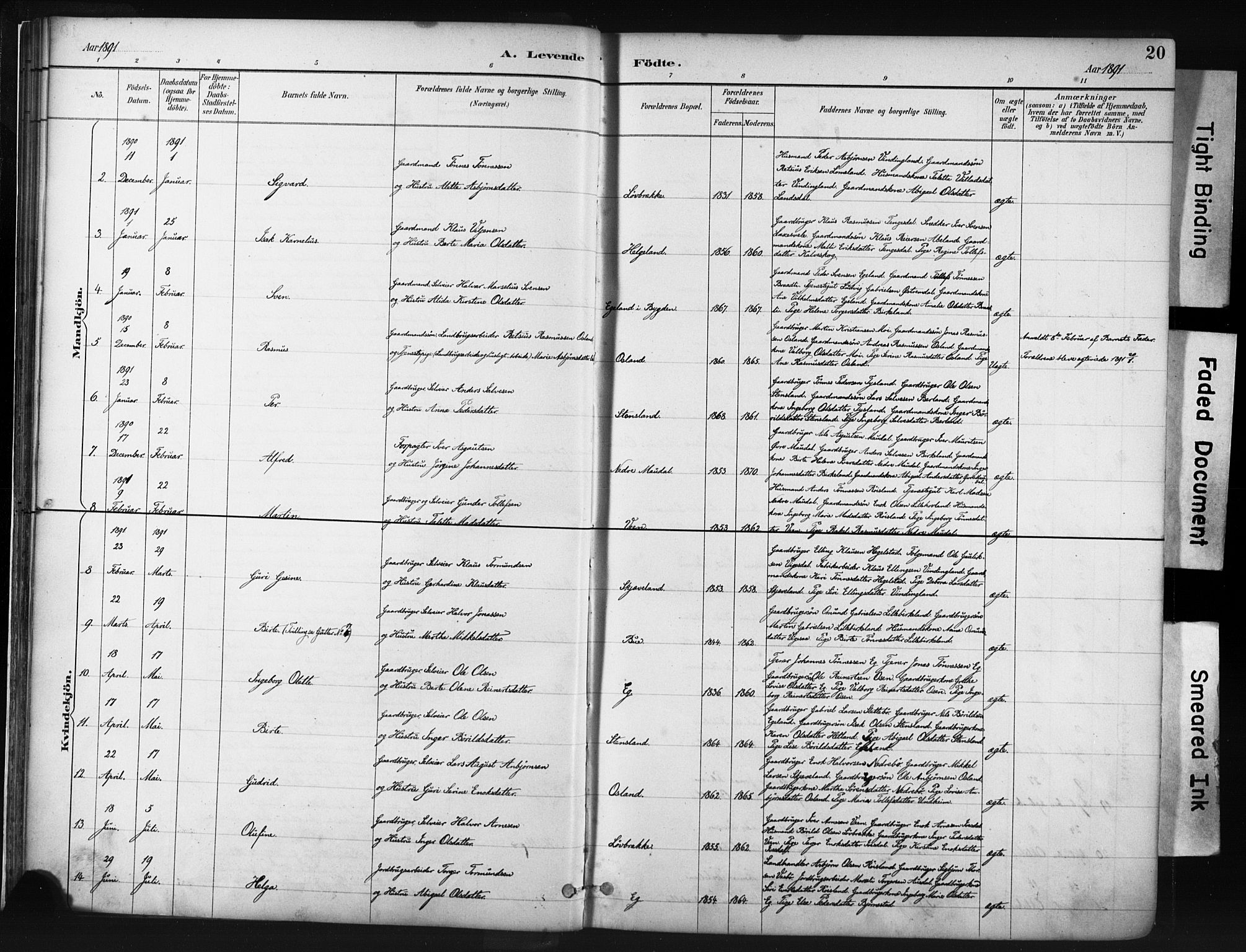 Helleland sokneprestkontor, AV/SAST-A-101810: Ministerialbok nr. A 9, 1887-1908, s. 20