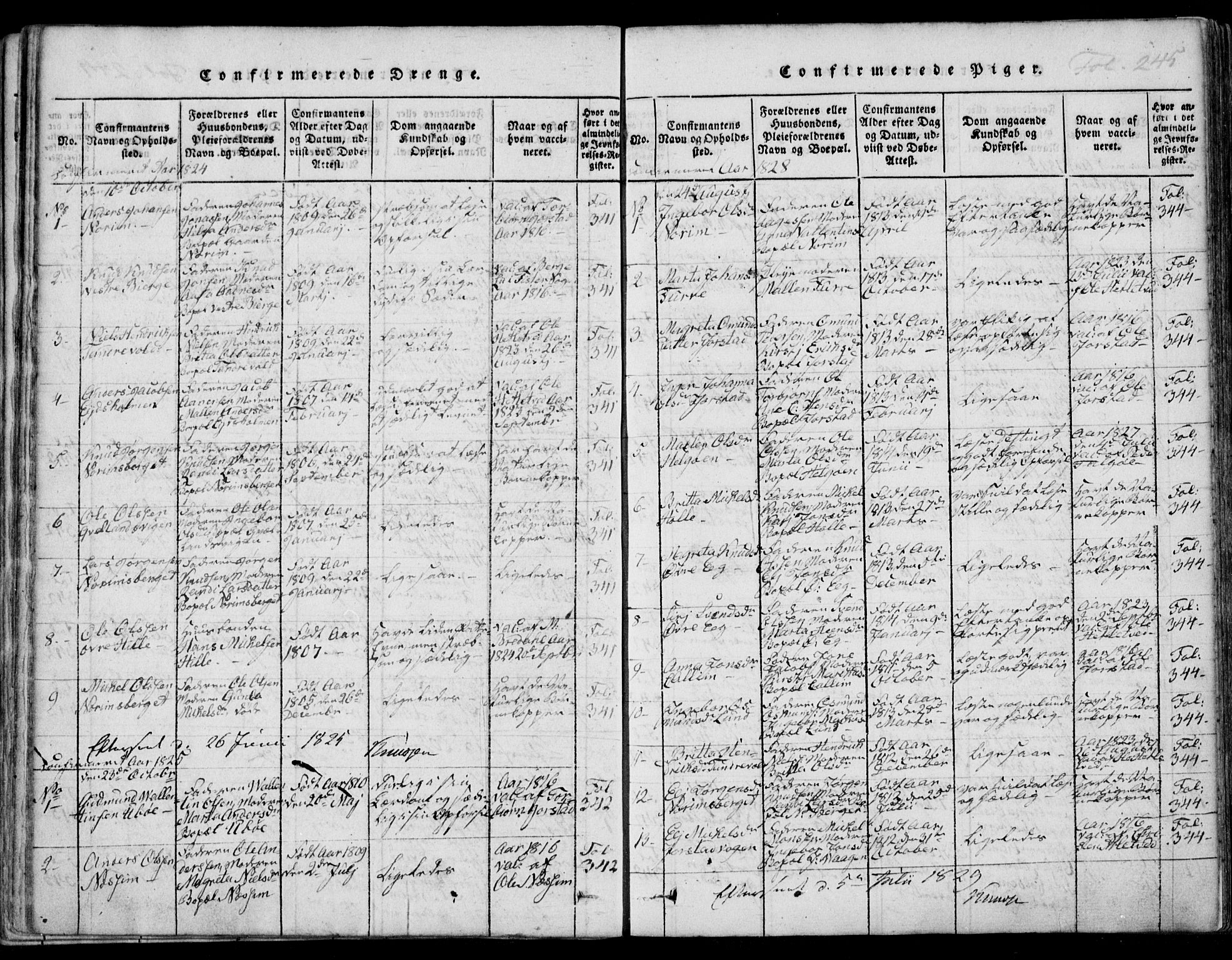 Nedstrand sokneprestkontor, SAST/A-101841/01/IV: Ministerialbok nr. A 7, 1816-1870, s. 245