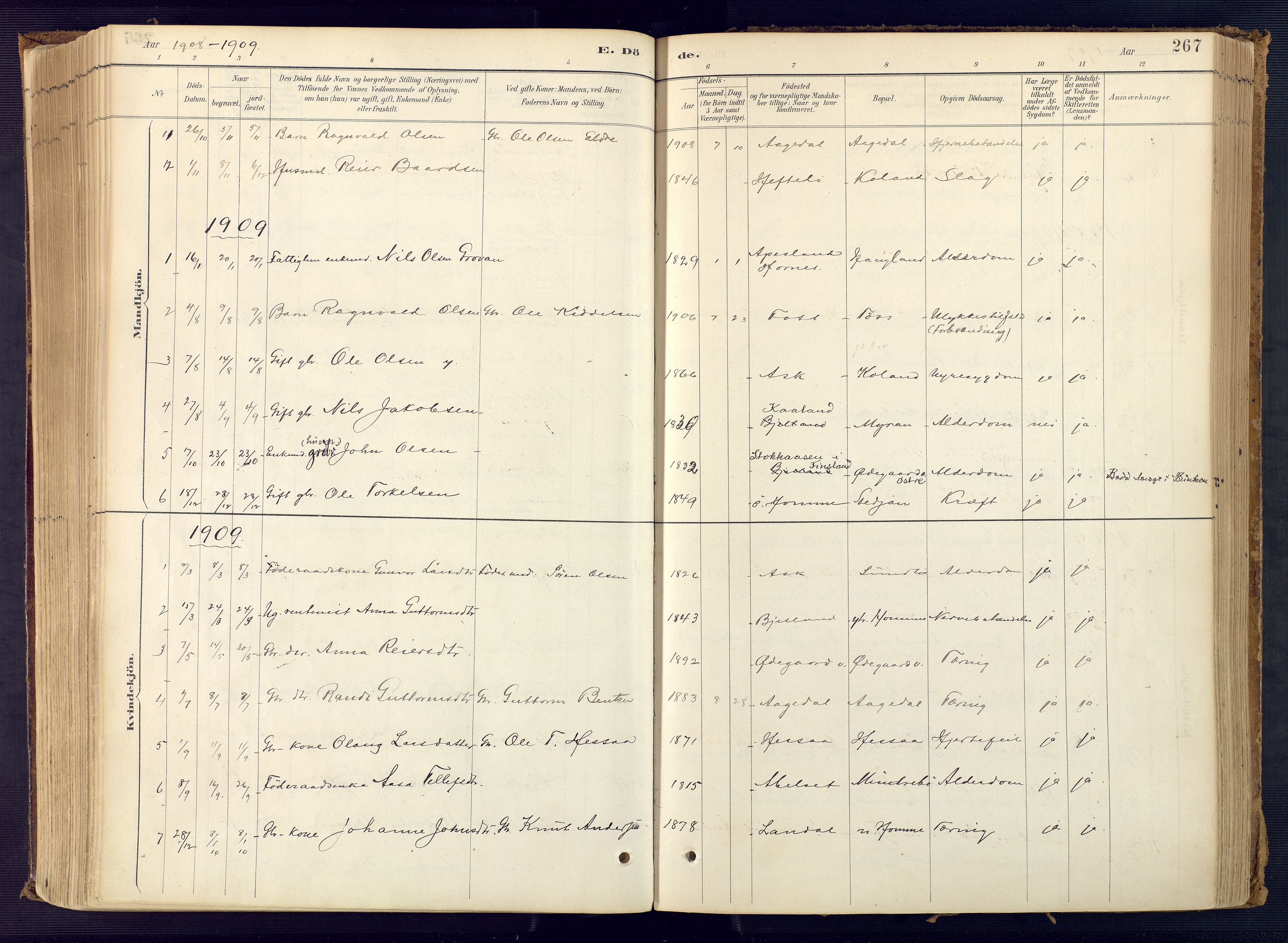 Bjelland sokneprestkontor, AV/SAK-1111-0005/F/Fa/Faa/L0004: Ministerialbok nr. A 4, 1887-1923, s. 267