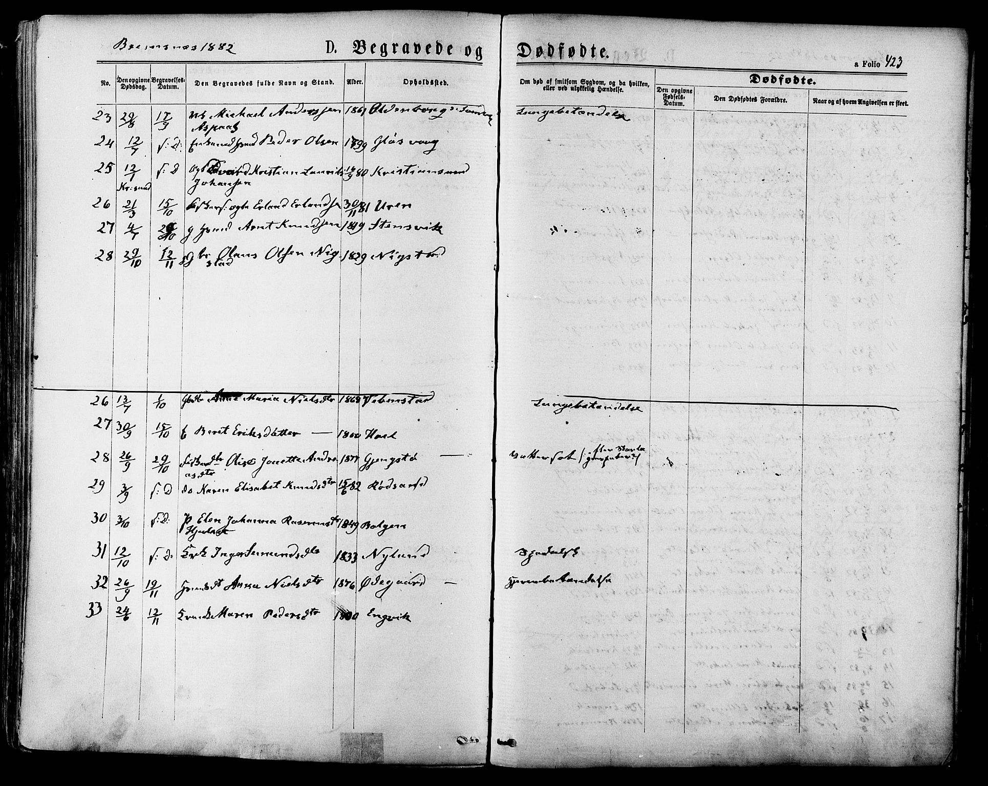 Ministerialprotokoller, klokkerbøker og fødselsregistre - Møre og Romsdal, SAT/A-1454/568/L0806: Ministerialbok nr. 568A12 /3, 1878-1884, s. 423